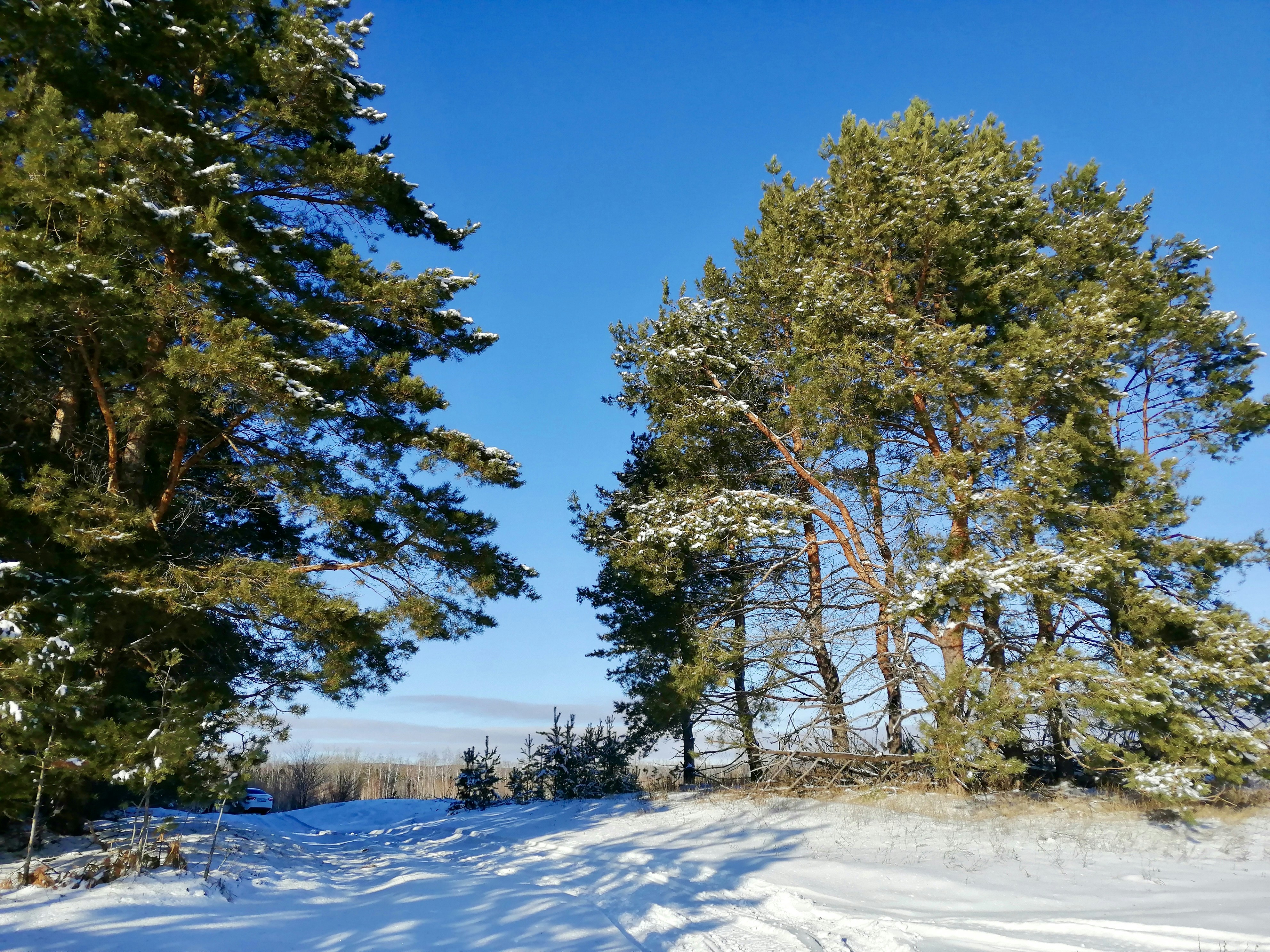 Photo by katrin_bloom