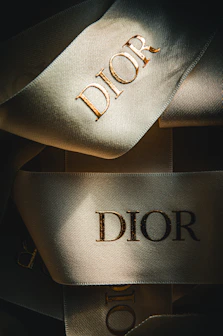 a close up of a pair of shoes with the word dior on it
