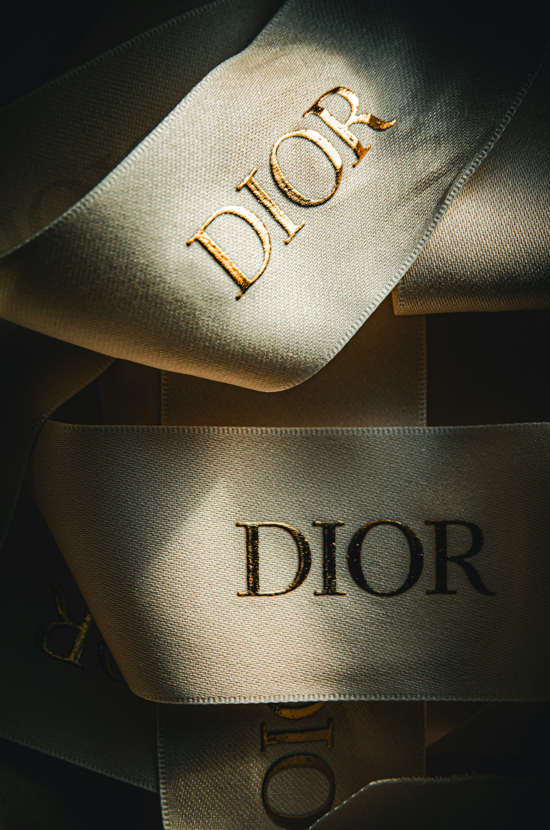 a close up of a pair of shoes with the word dior on it