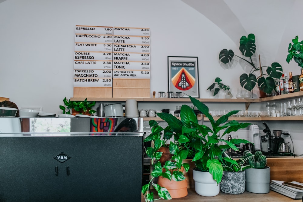 a kitchen with a lot of potted plants on the counter