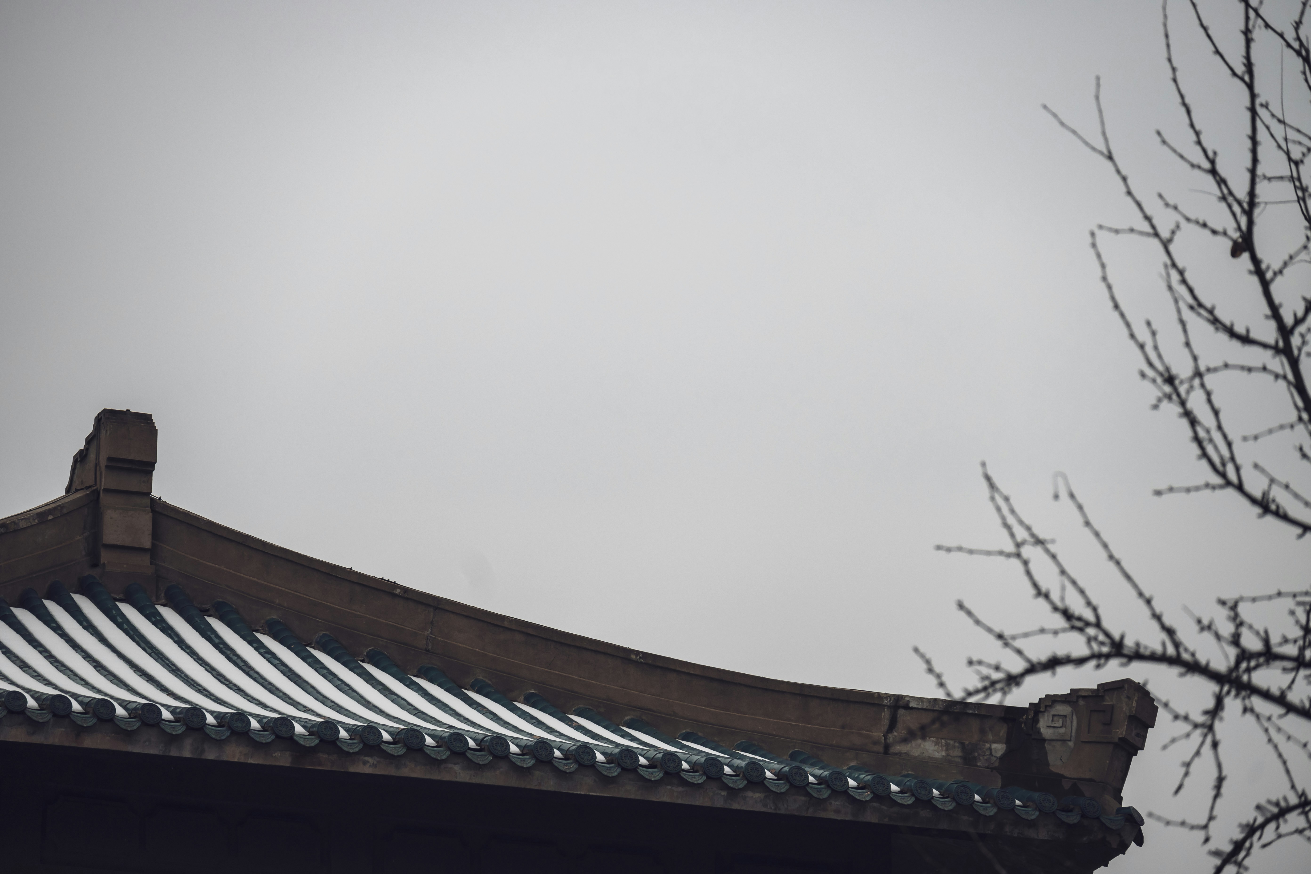 Photo by nyenchen