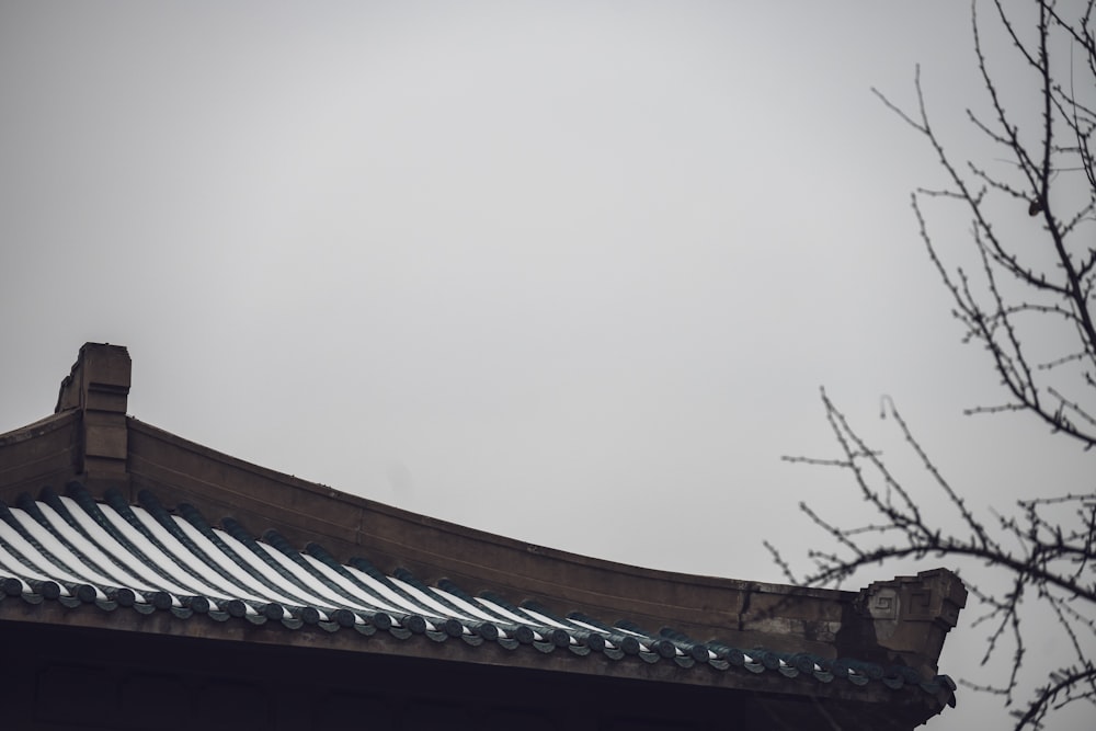 a bird is perched on the roof of a building