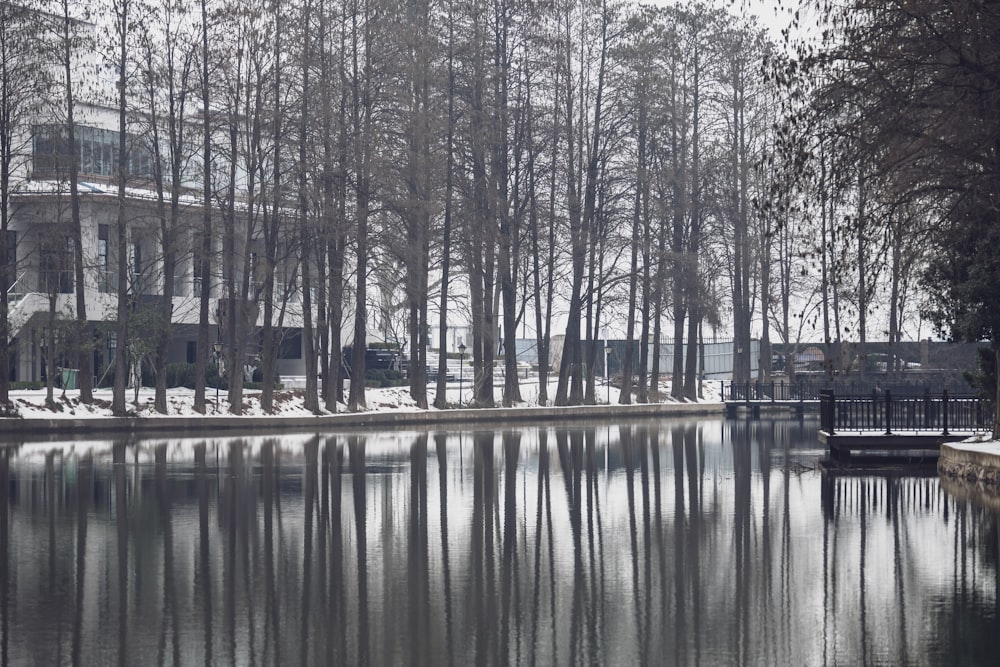 un plan d’eau entouré d’arbres et d’un bâtiment