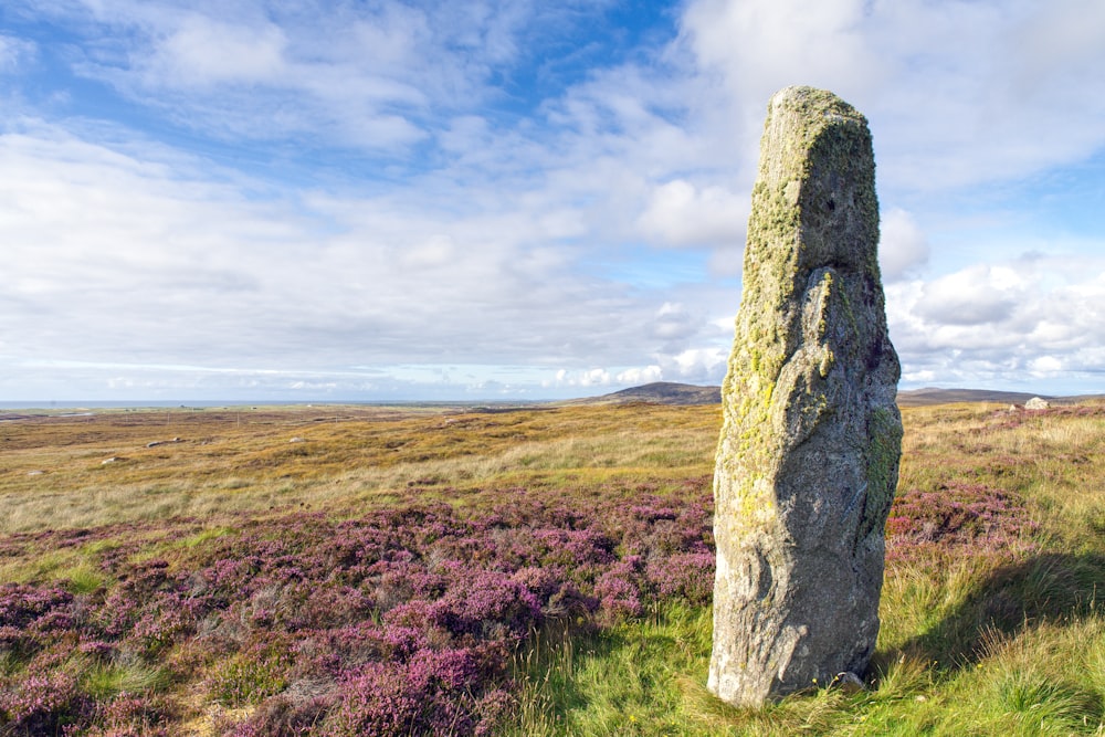 a large rock in a field with purple flowers