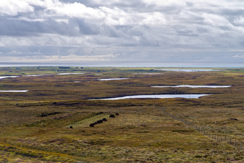 a large open field with some water in it