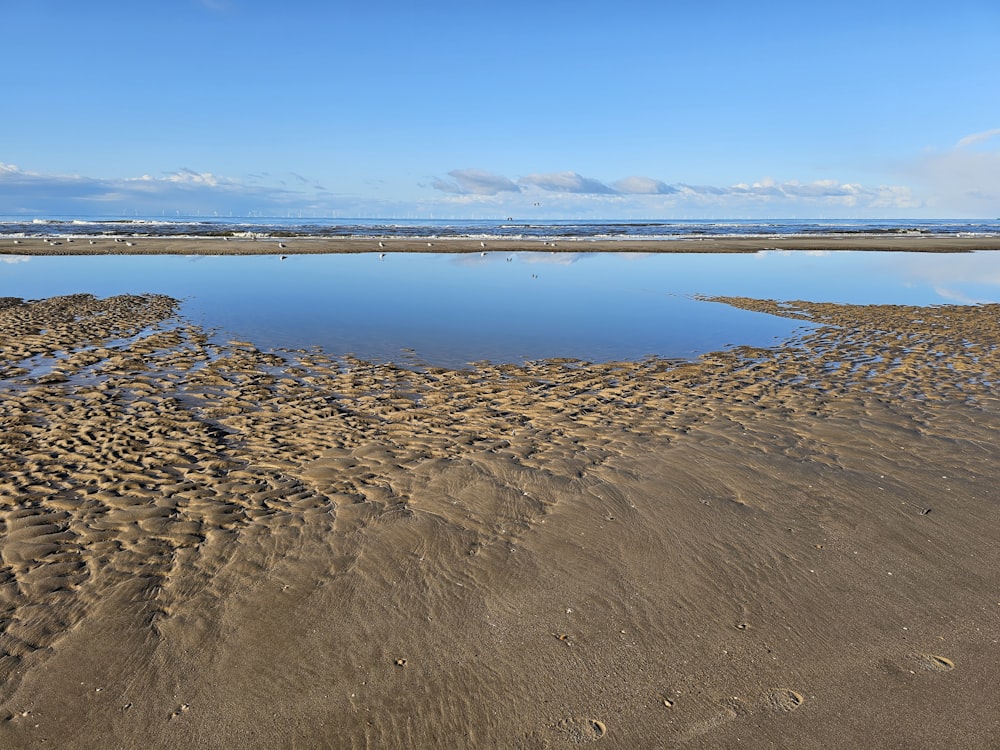 a body of water sitting on top of a sandy beach