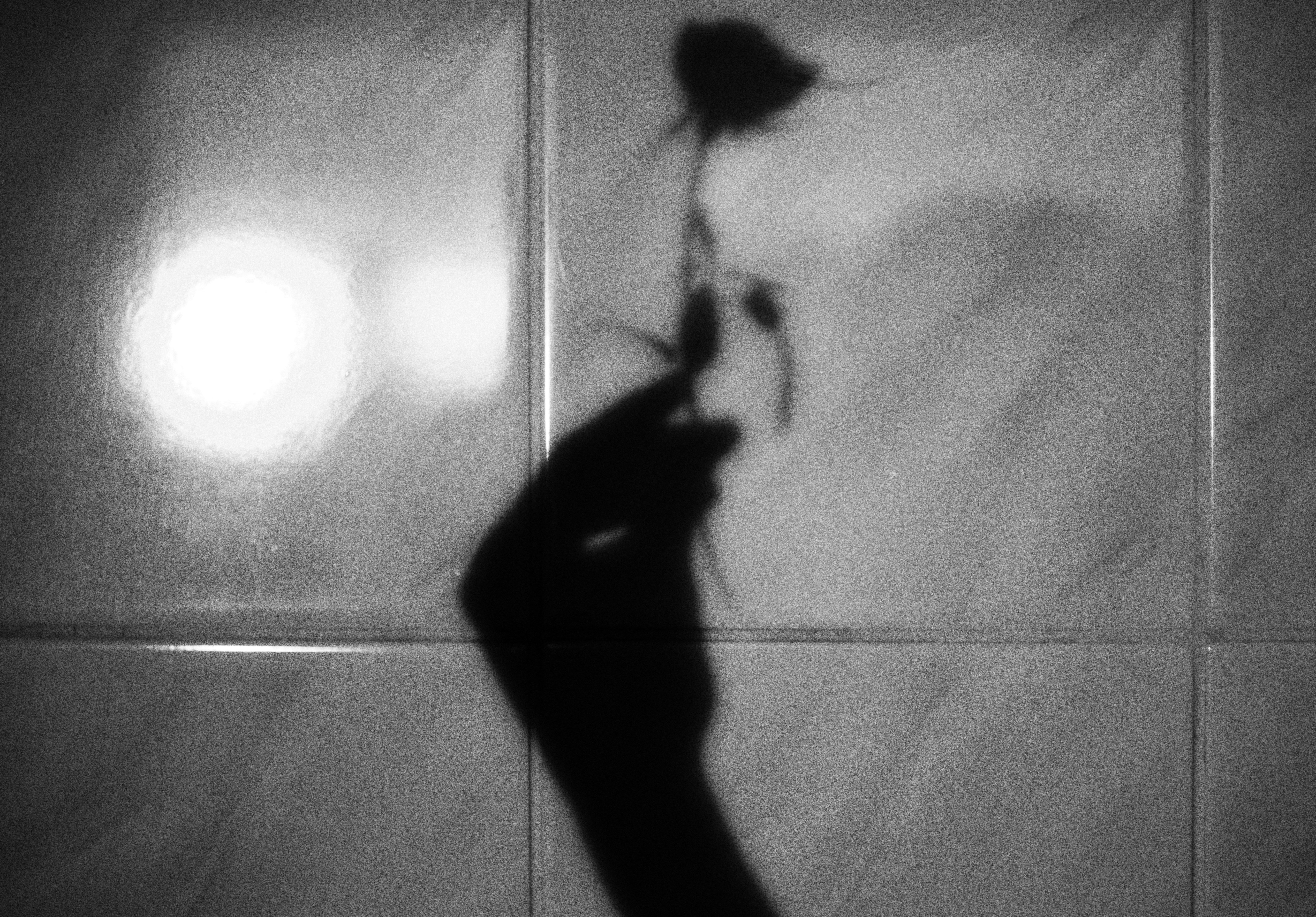 a shadow of a person holding a flower
