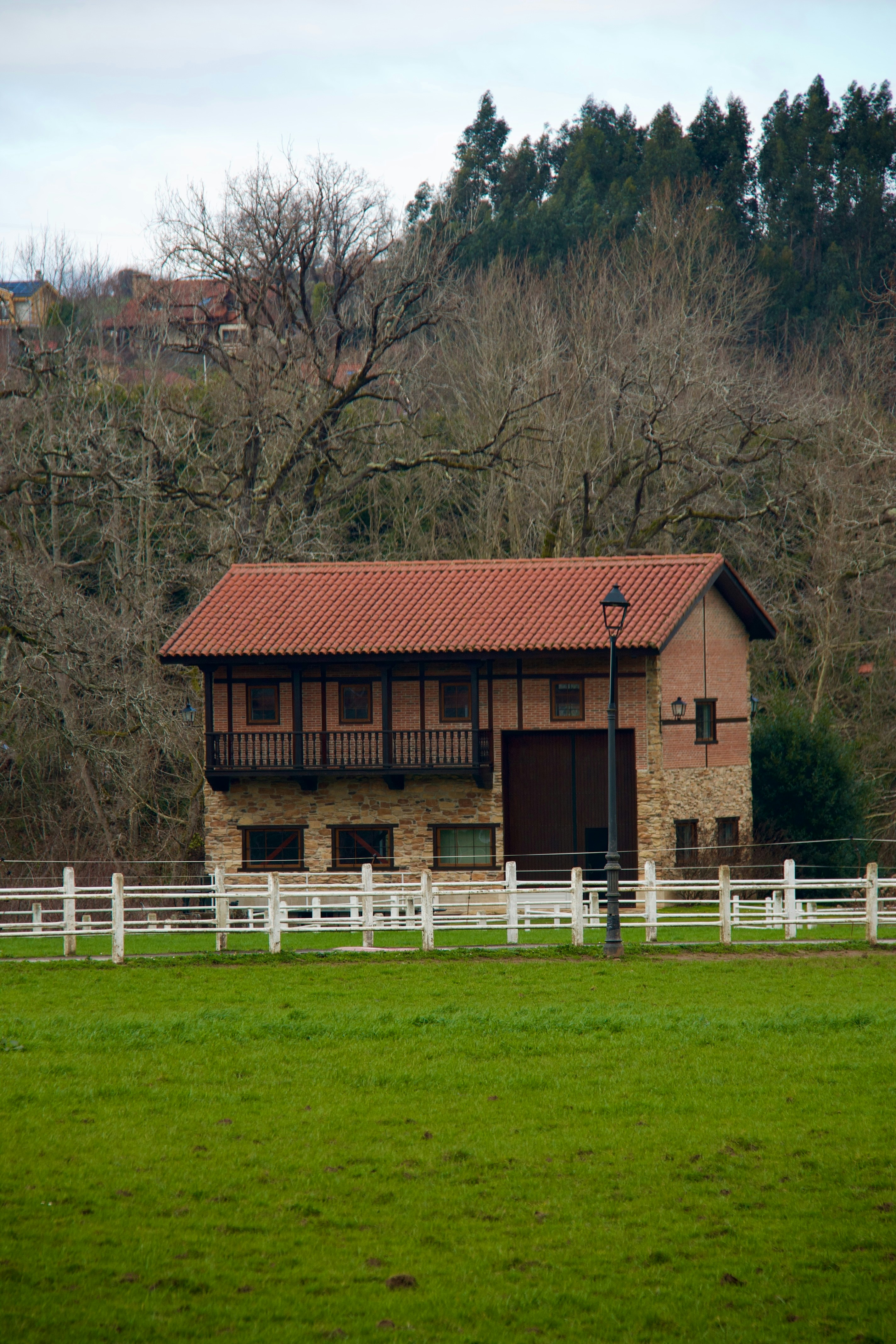 a horse grazing in a field next to a building