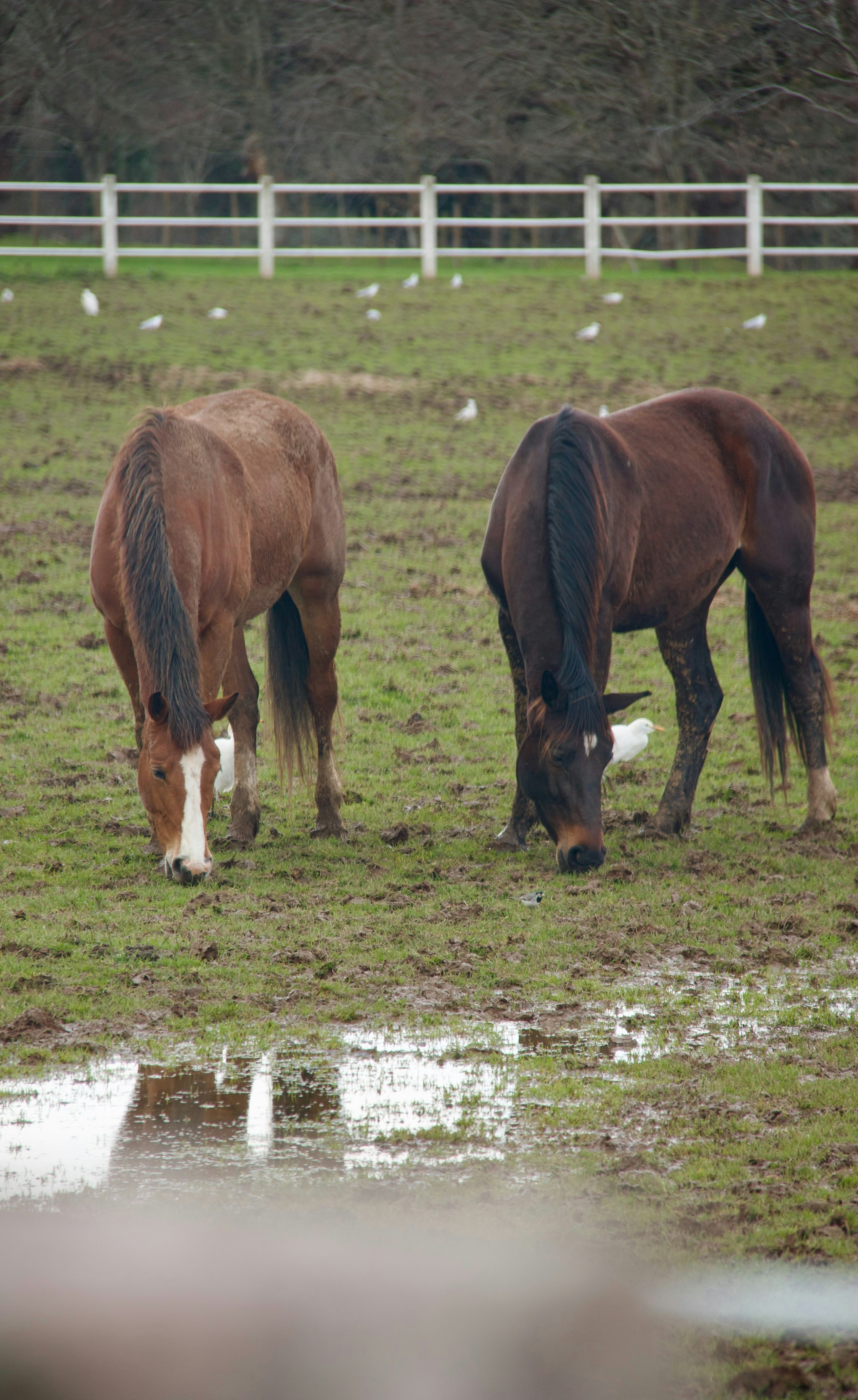 Photo by pablo_saancheezz