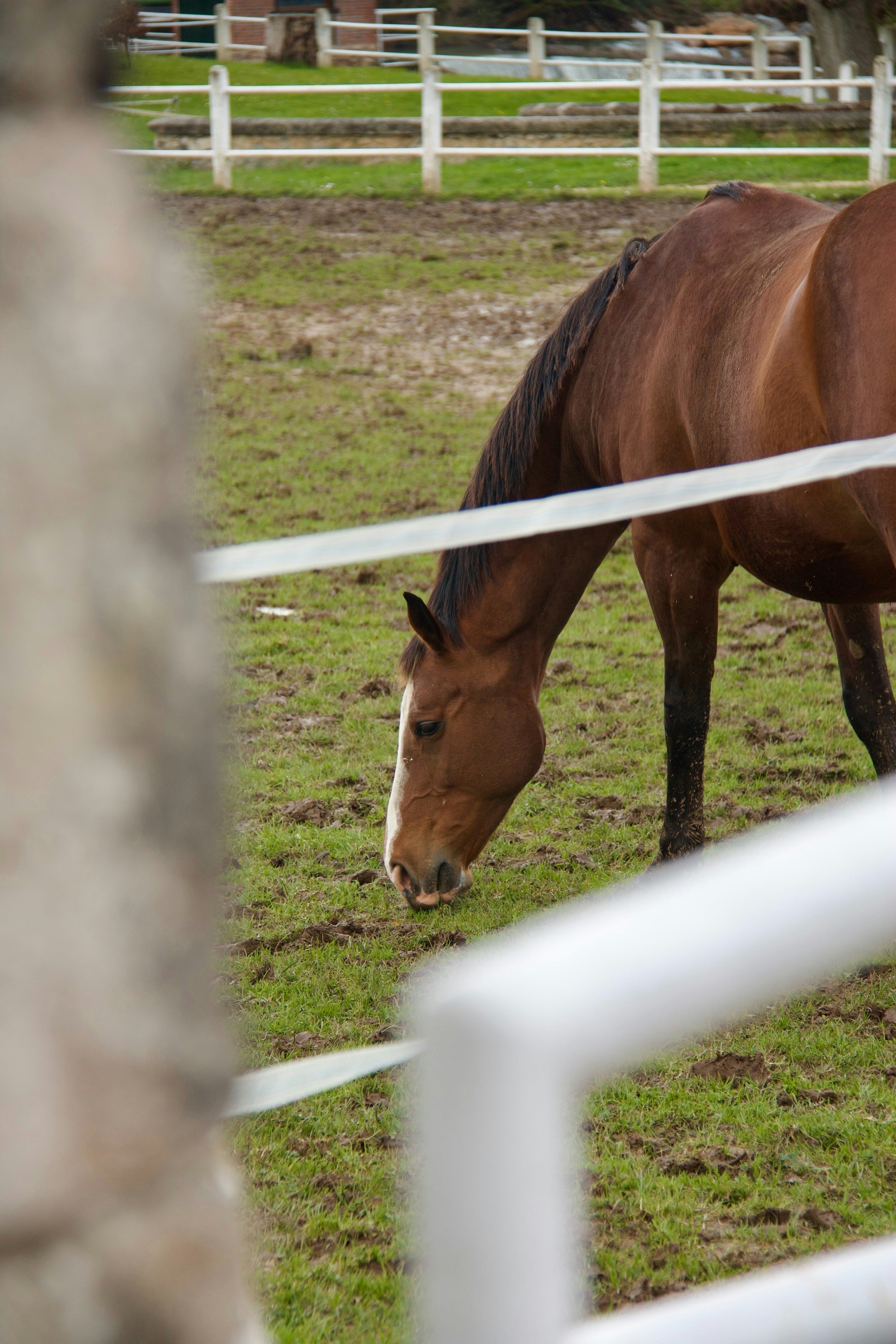 Photo by pablo_saancheezz