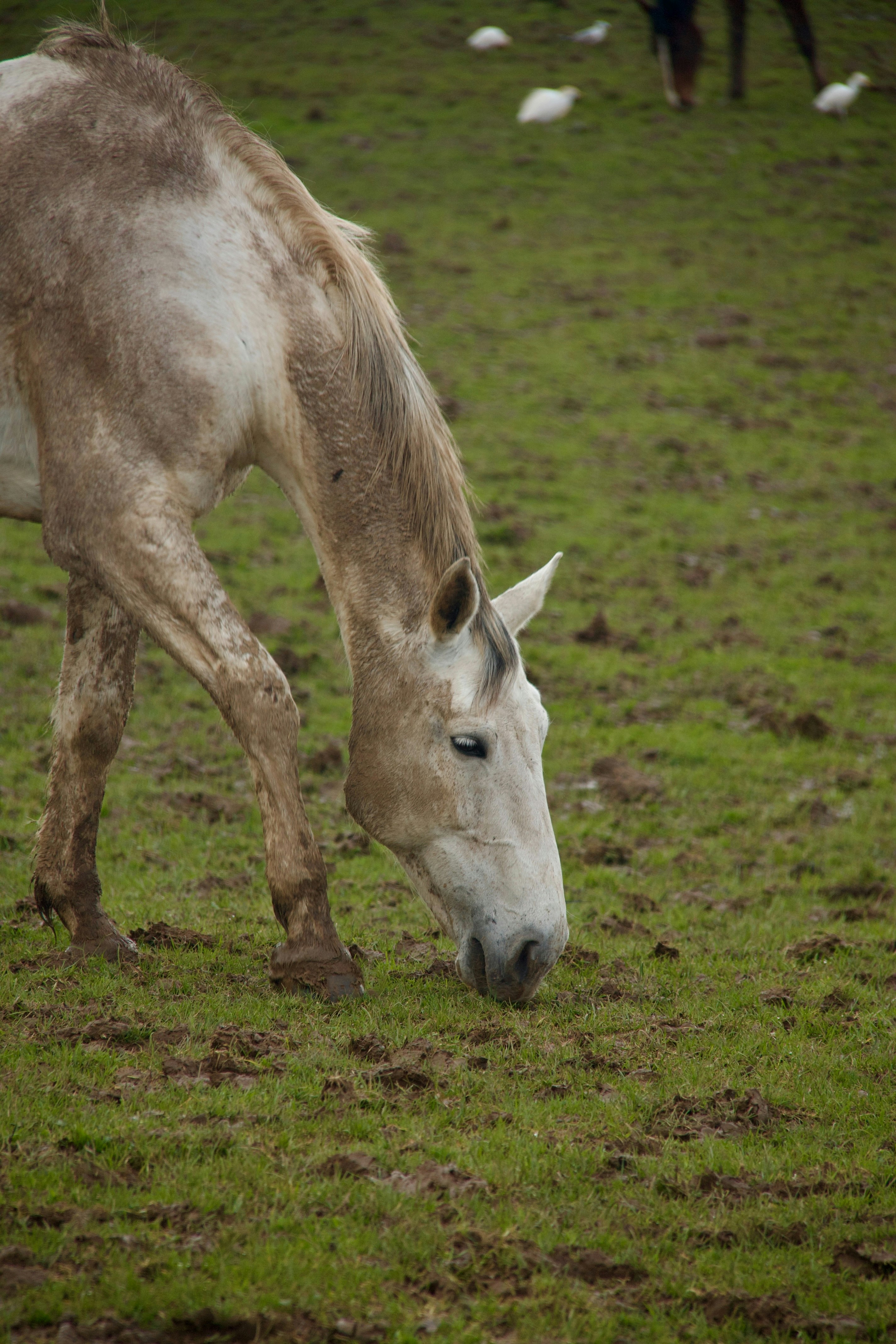 Photo by pablo_saancheezz