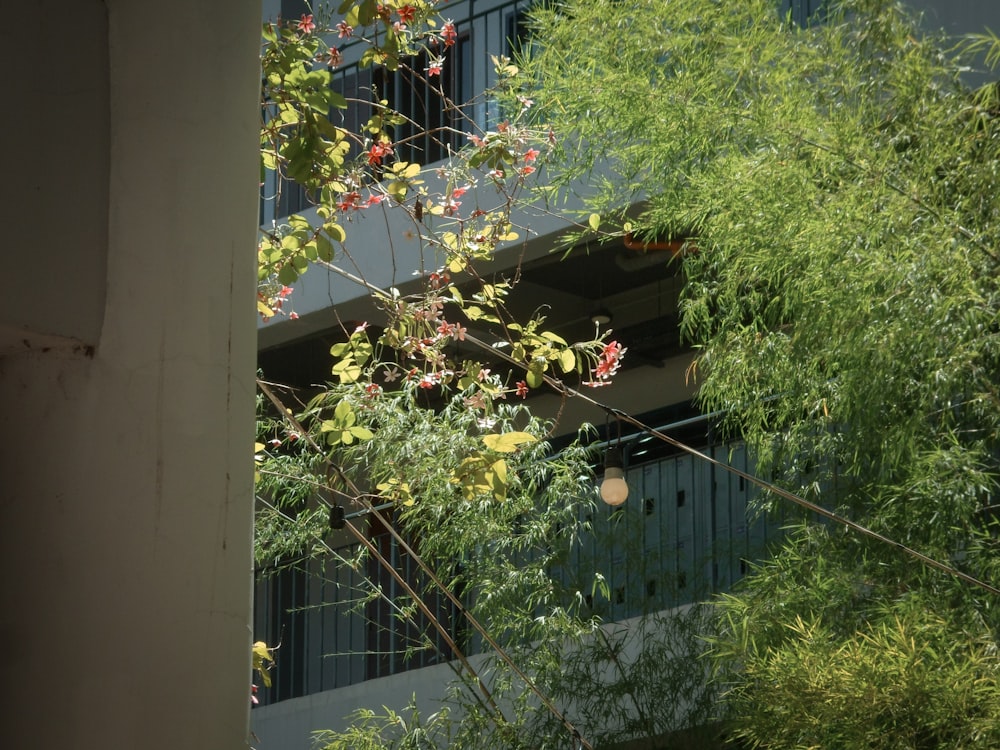 a view of a building through the trees