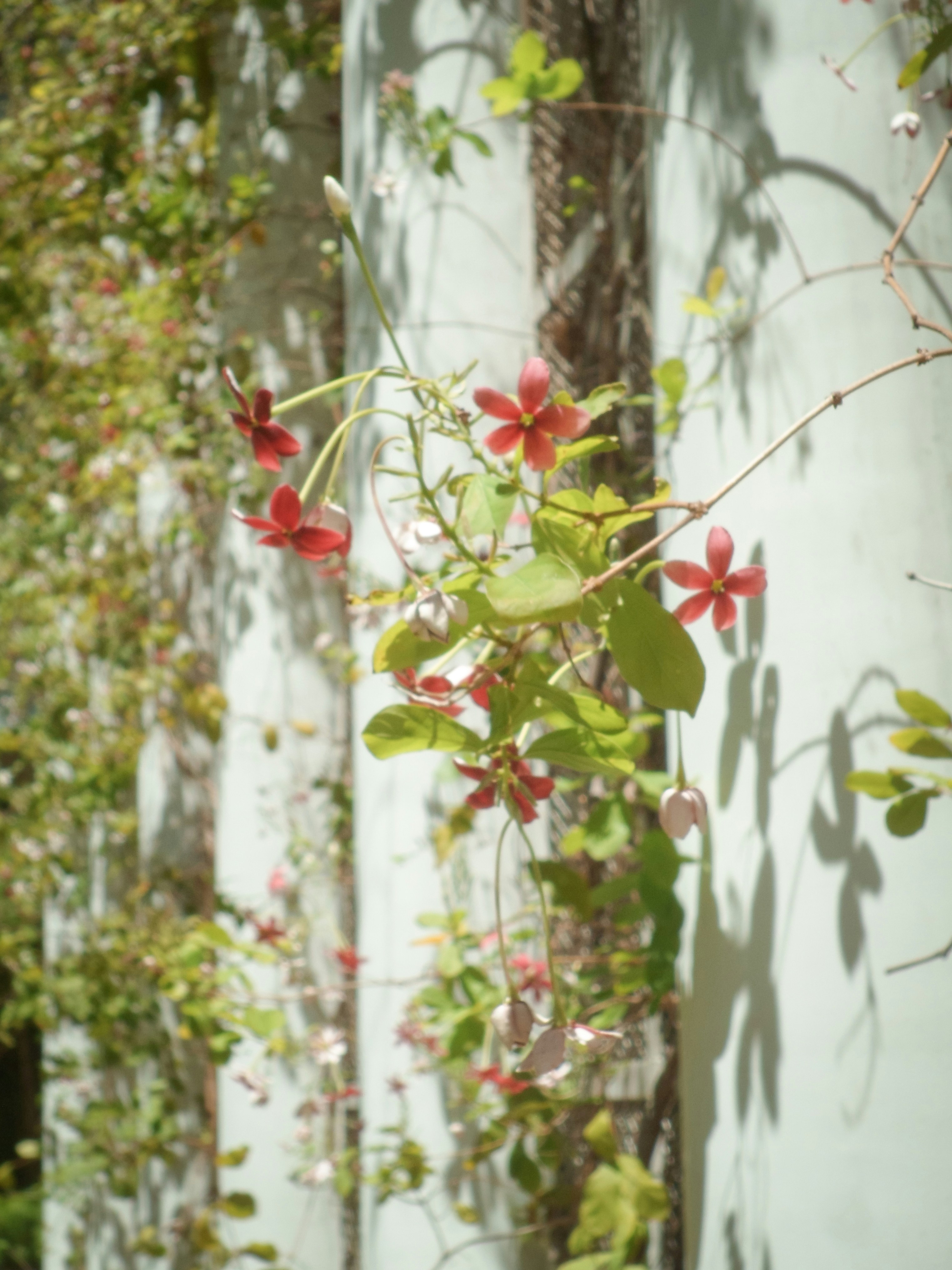 Photo by andrewsqcriz