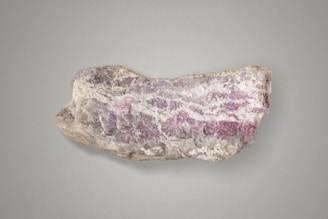 a rock with a pink and white substance on it