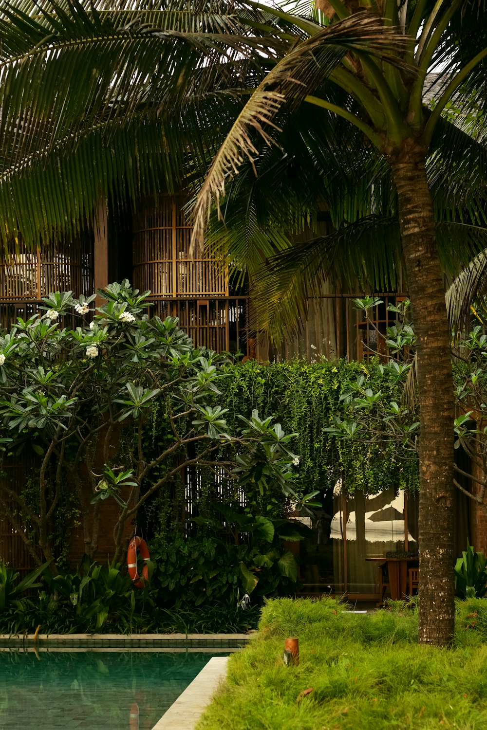 a pool surrounded by a lush green forest