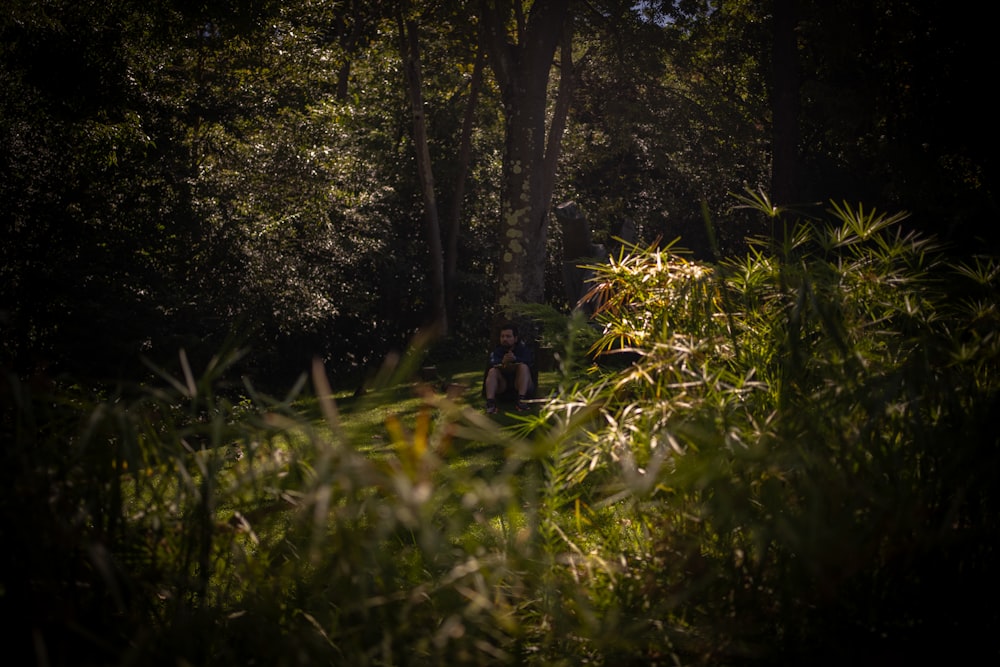 a man walking through a lush green forest