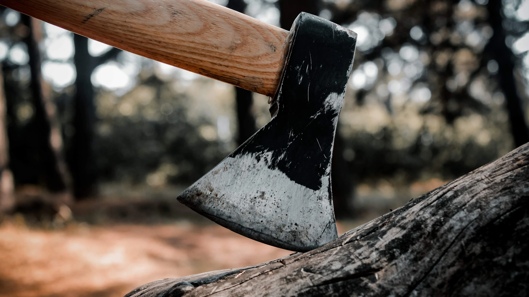 Close view of an axe head sunk into a log, its wooden handle running out of the frame