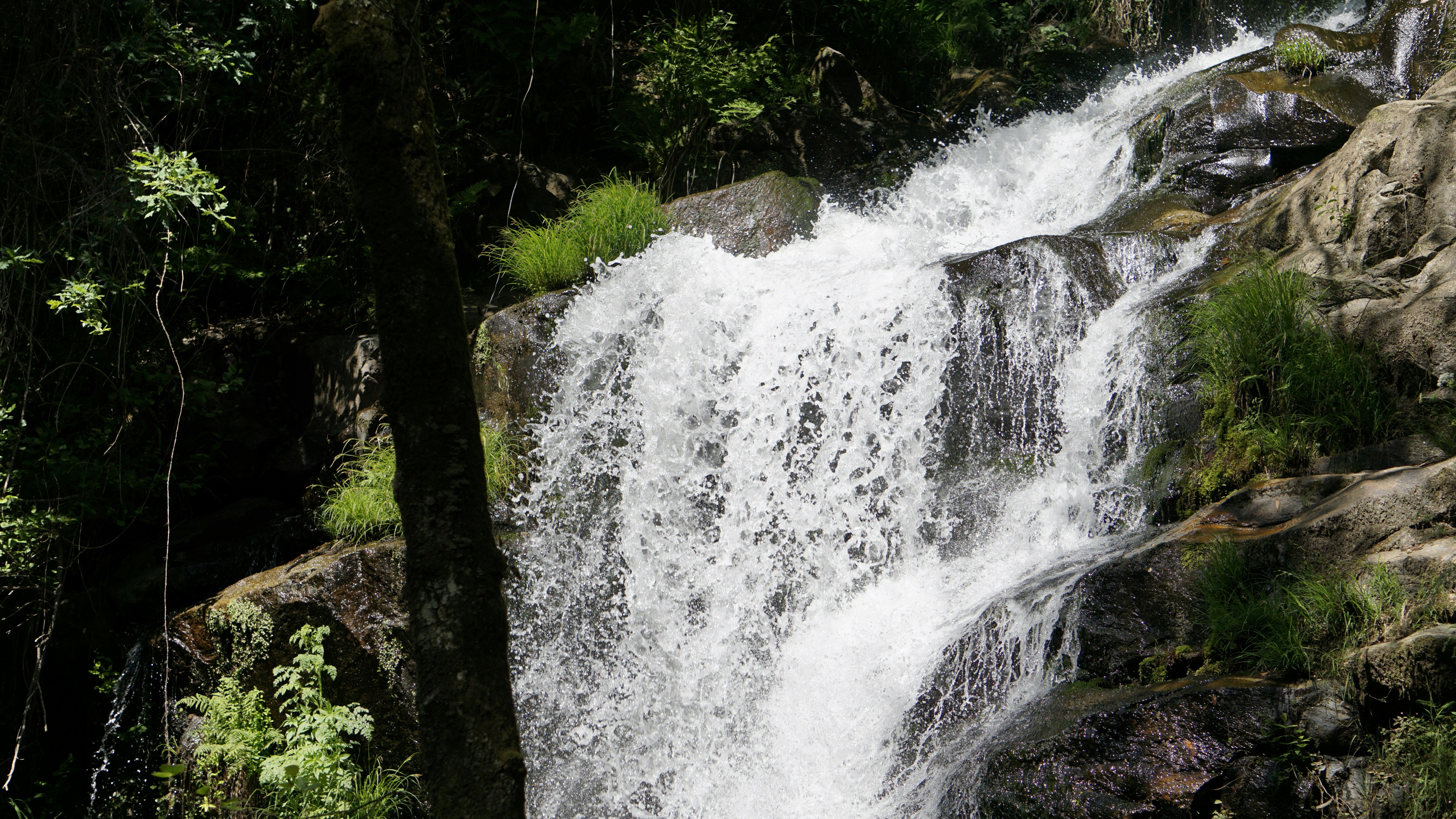 Photo by rubenmarques1