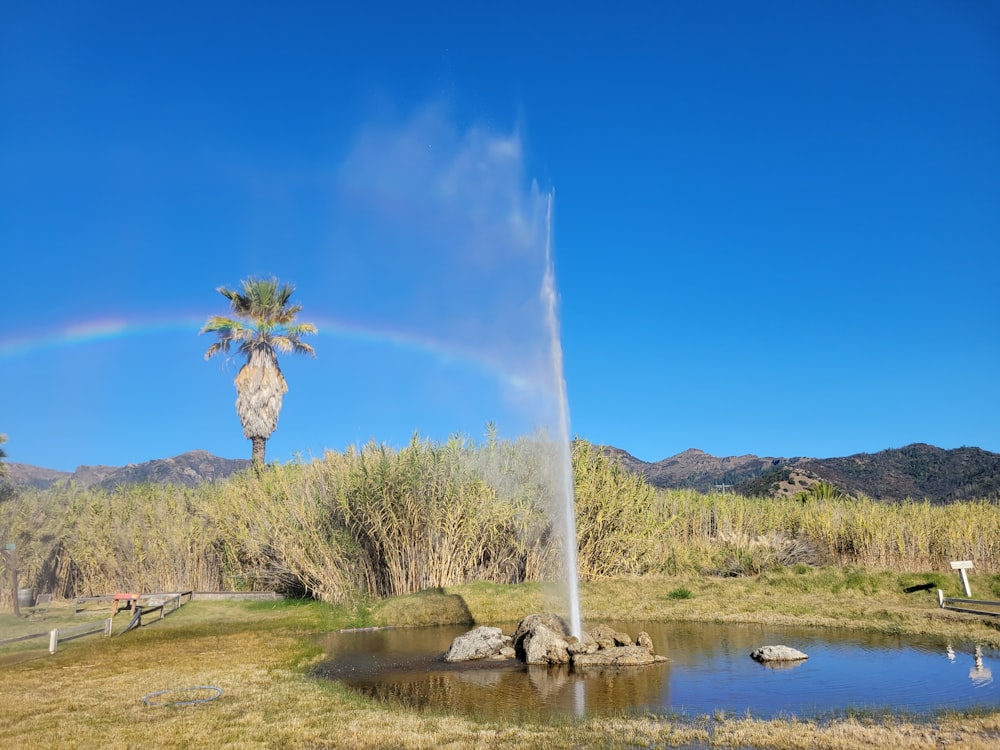 a spout of water shooting out of a pond