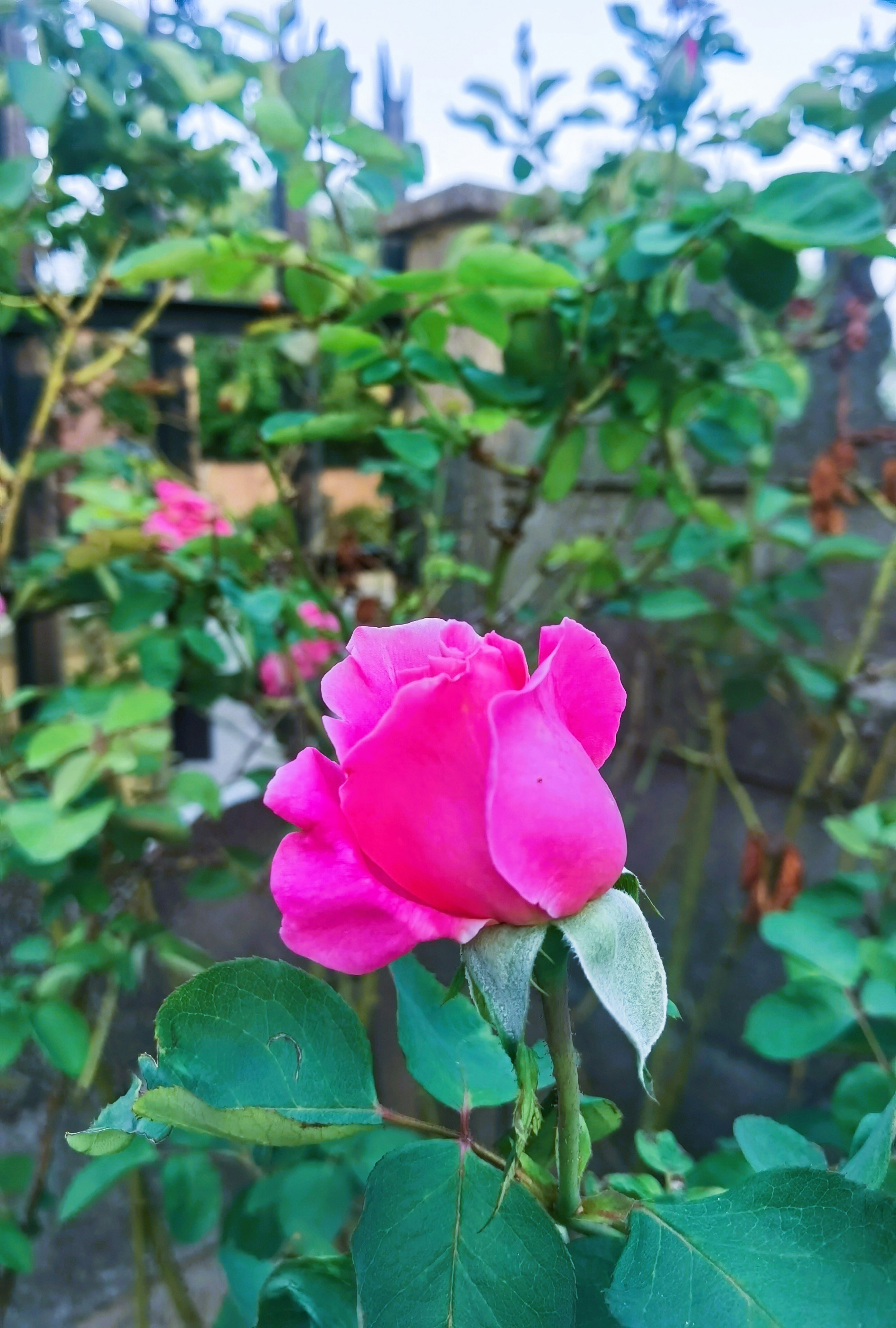 Photo by tinashe_guni