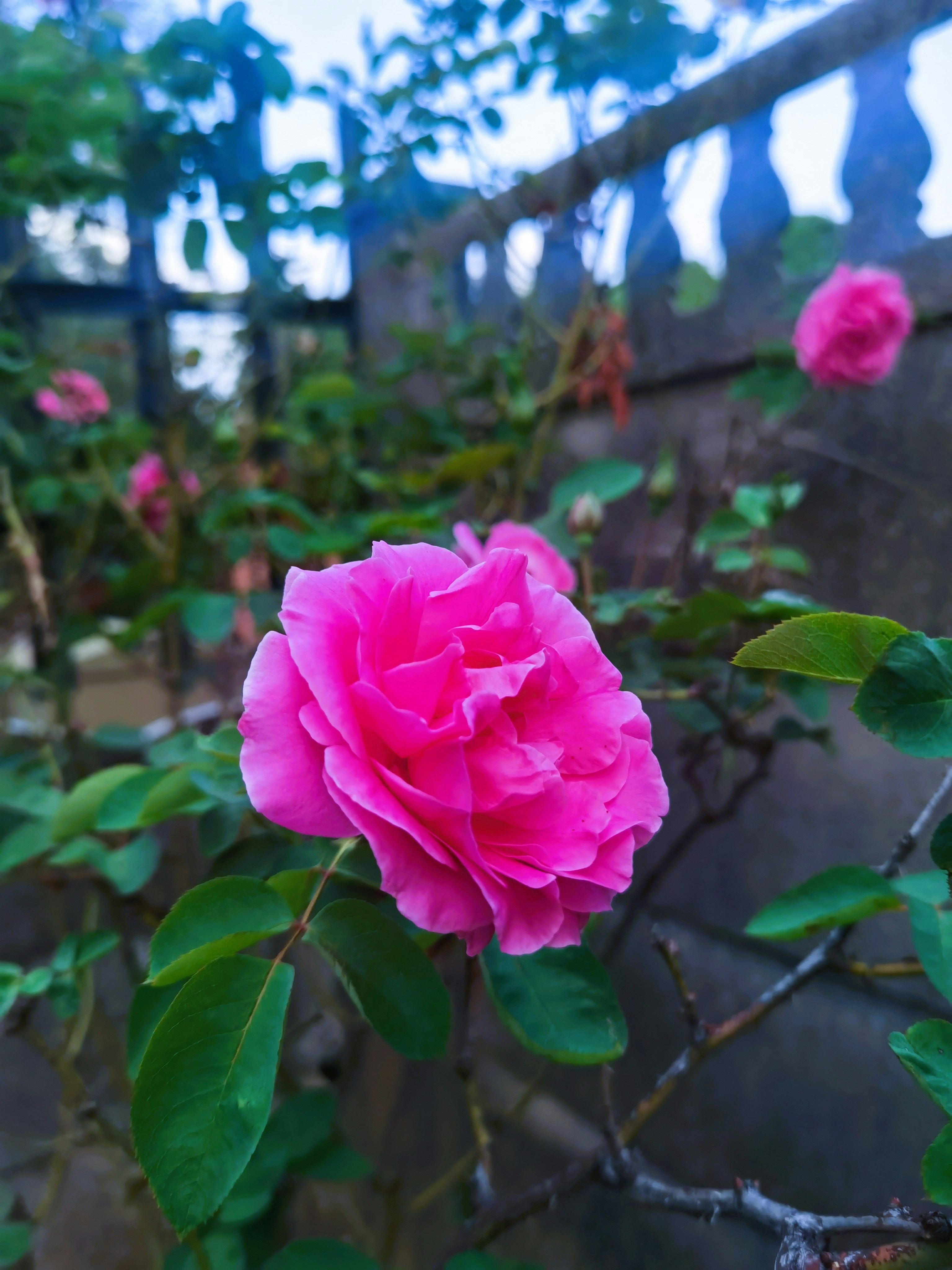 Photo by tinashe_guni