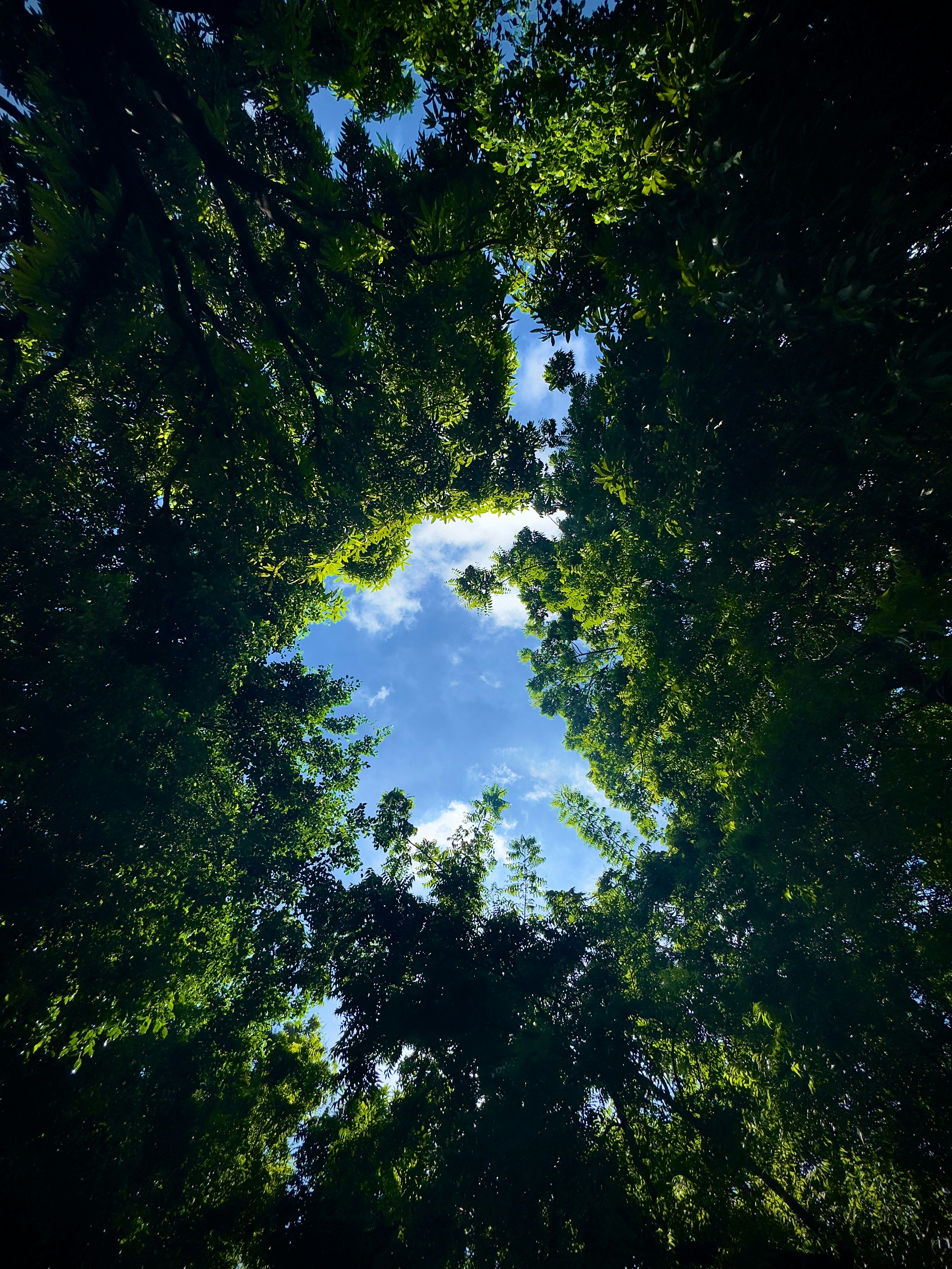 Photo by jonathan_moreira