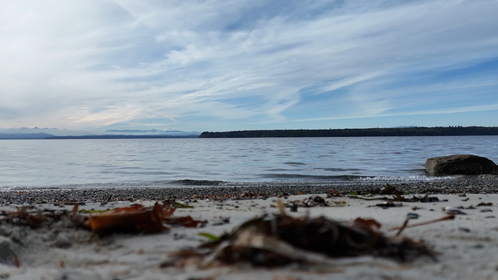 a body of water sitting next to a sandy beach