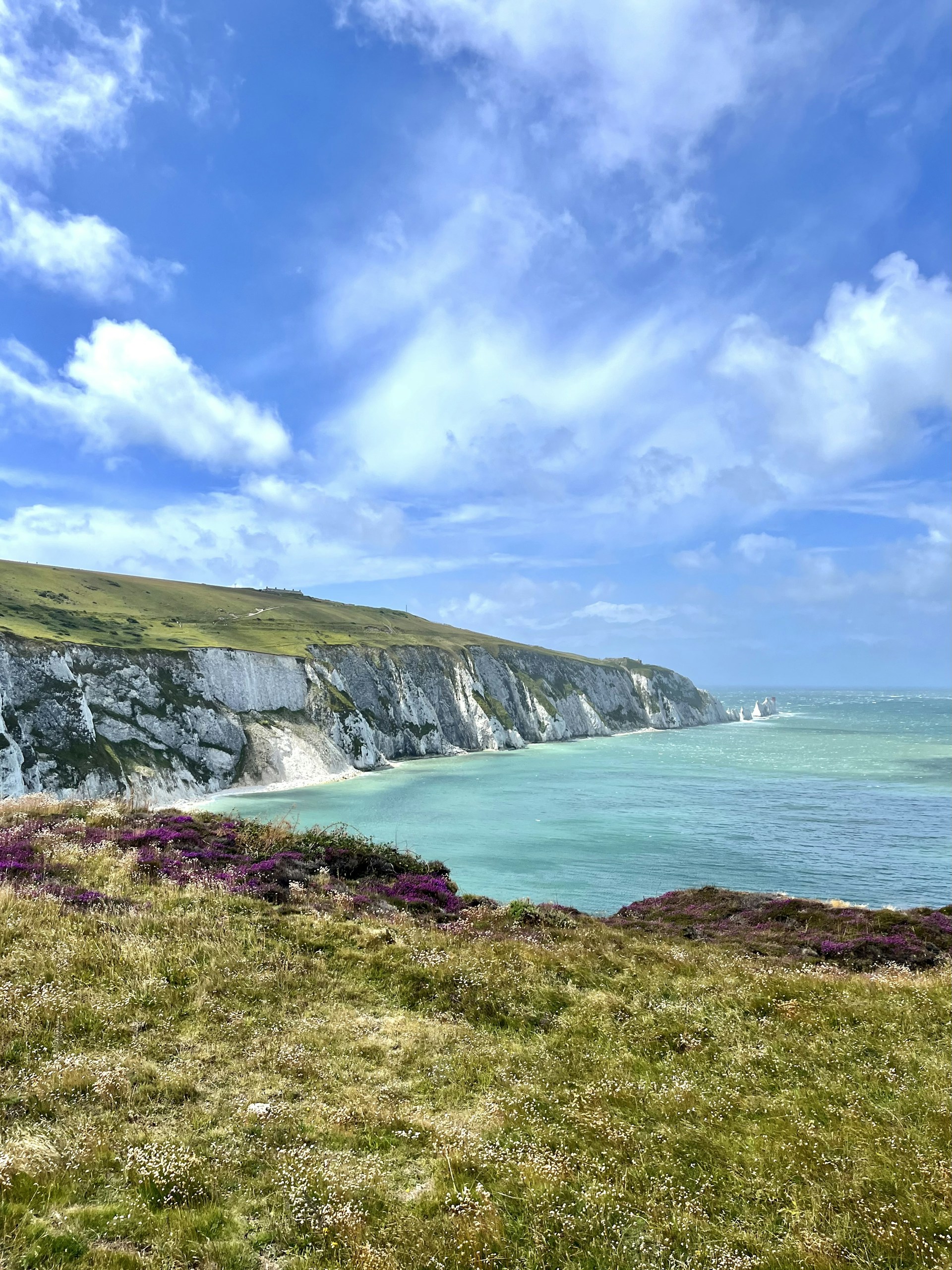 a bench sitting on top of a lush green hillside next to the ocean