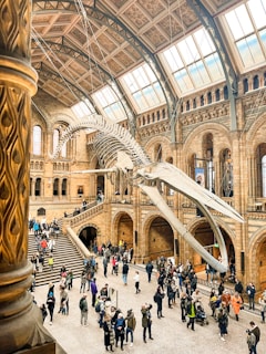 a group of people standing around a museum