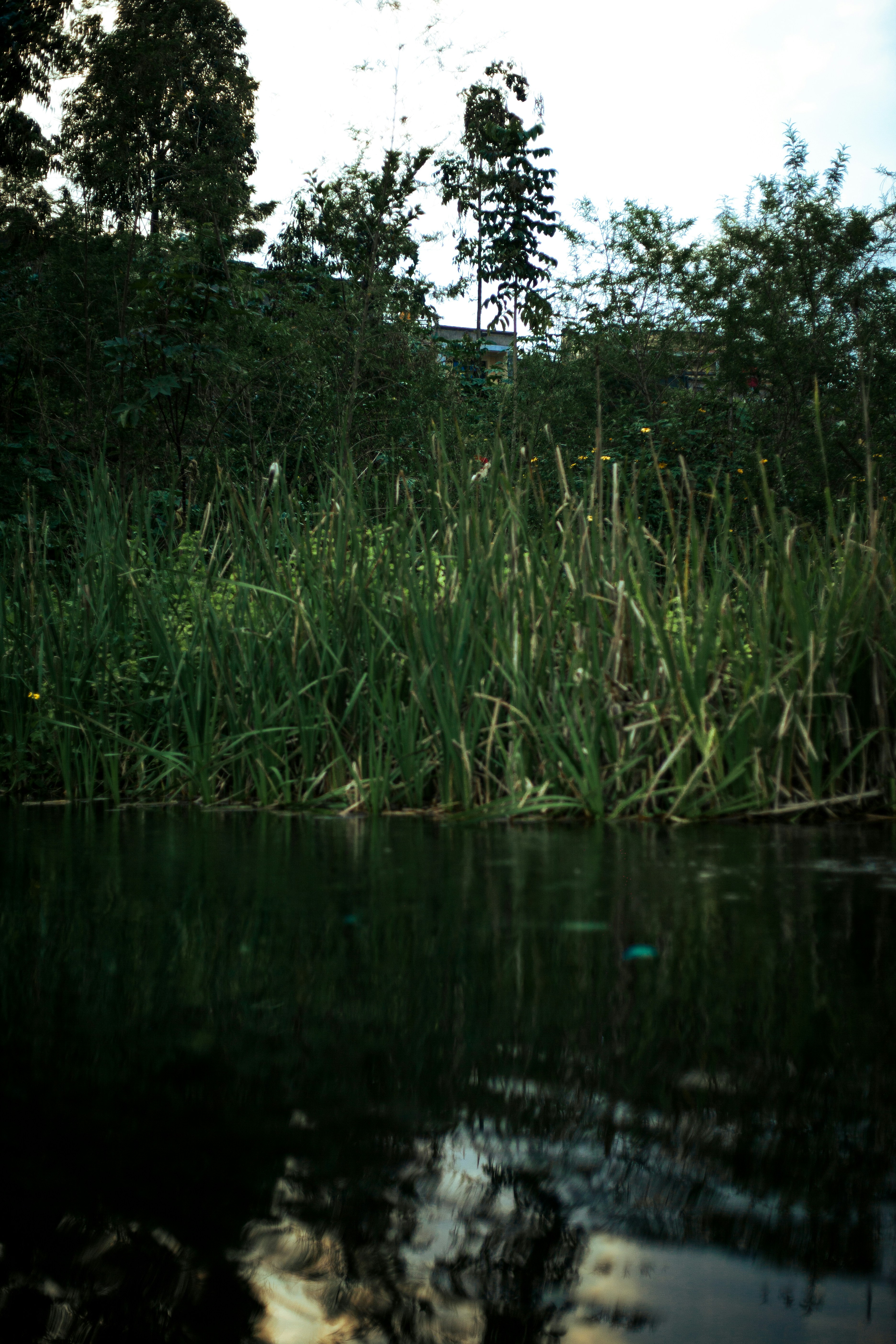 Photo by ishots_thing