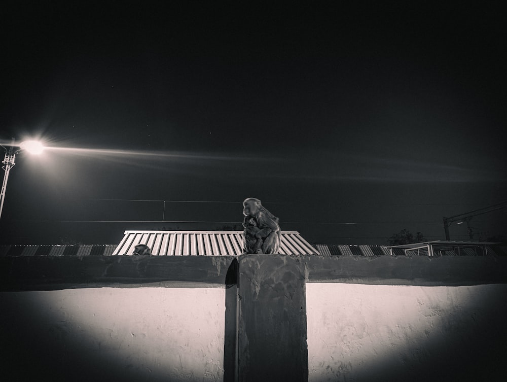 a man riding a skateboard up the side of a ramp