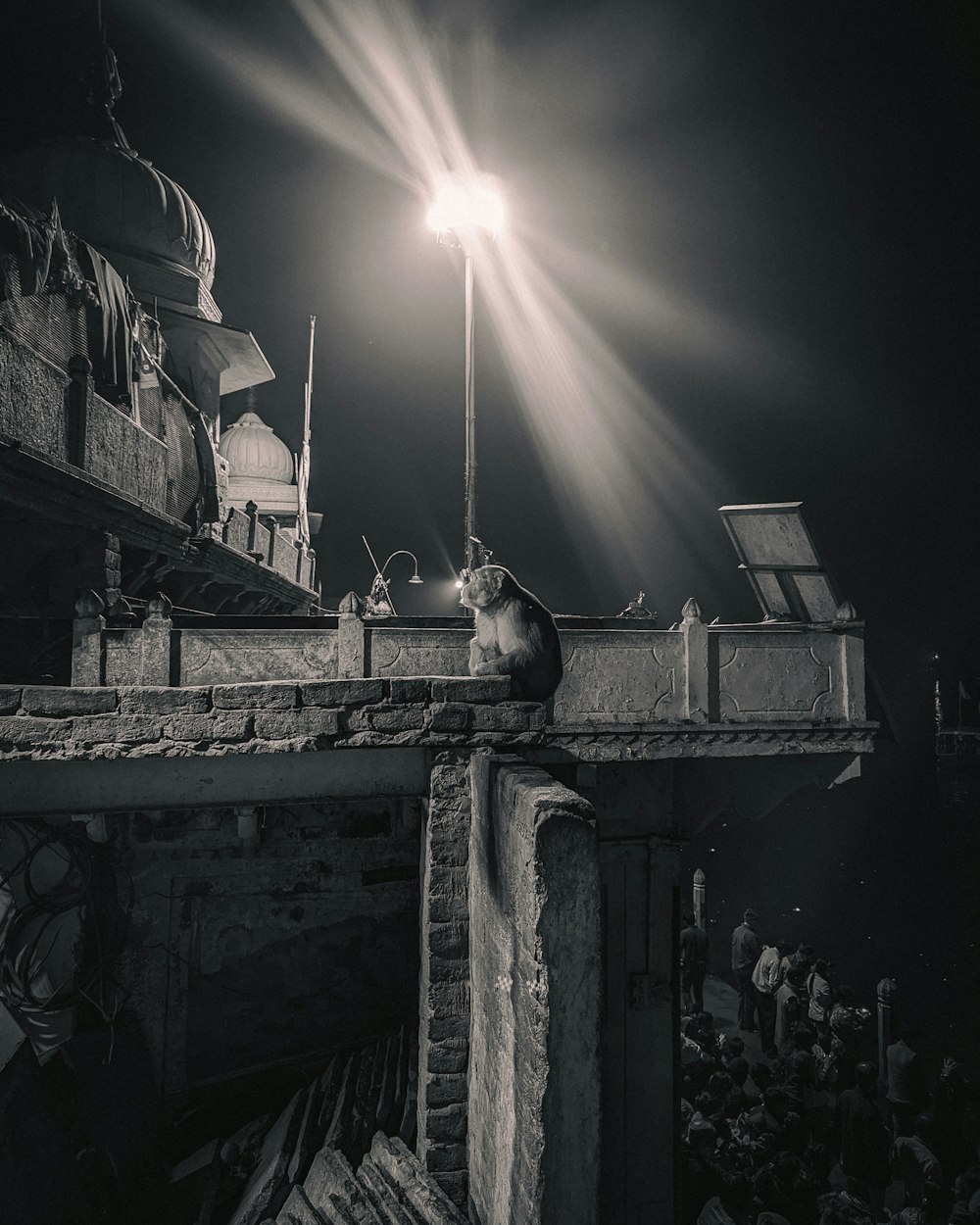 a black and white photo of a cat on a roof