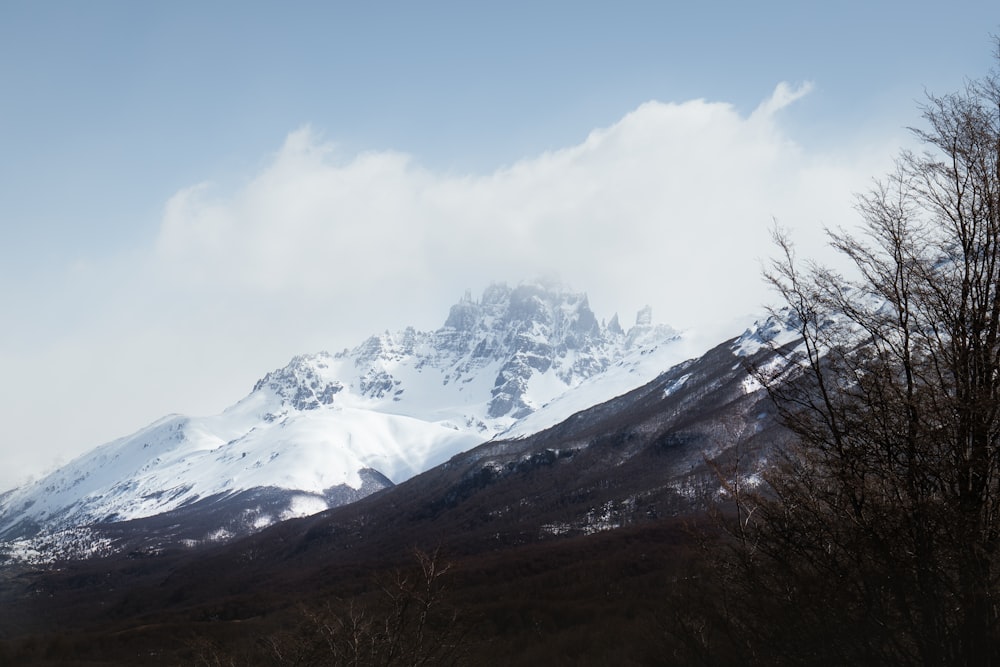 a snow covered mountain with trees in the foreground