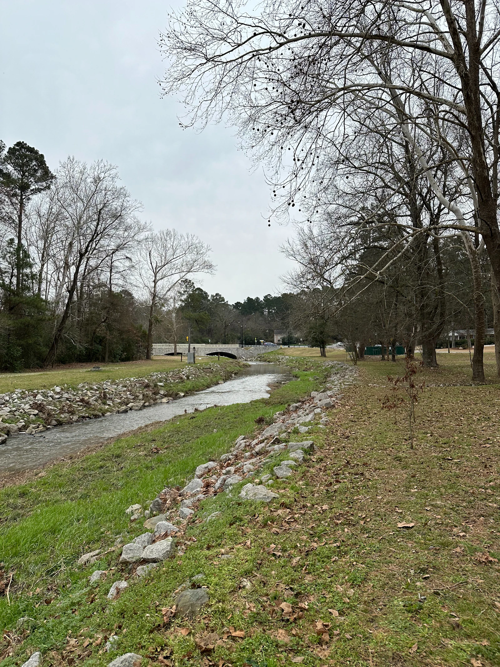 A river running through a green riverside park.
