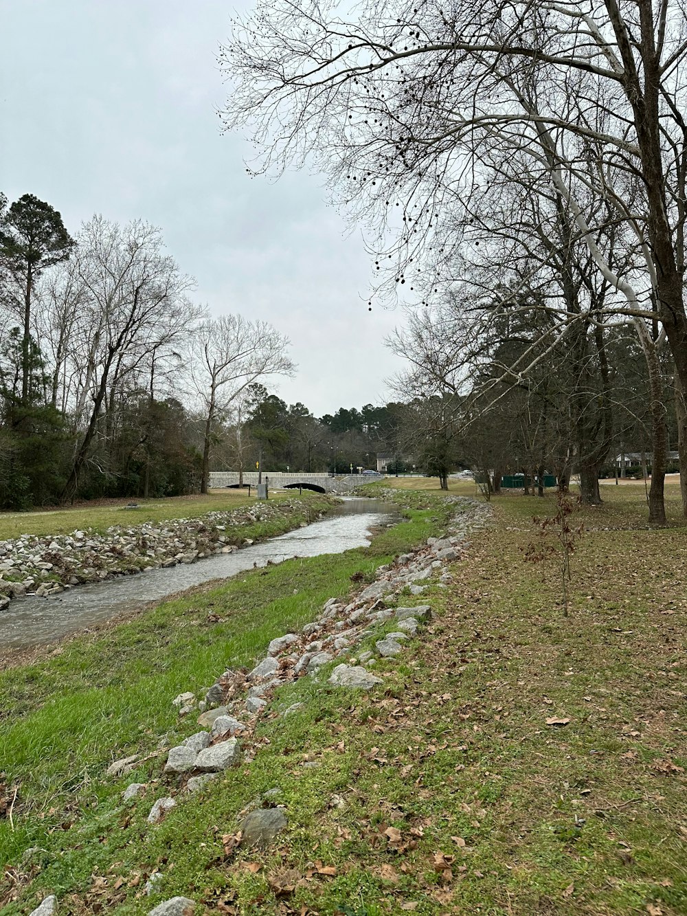 a river running through a lush green park