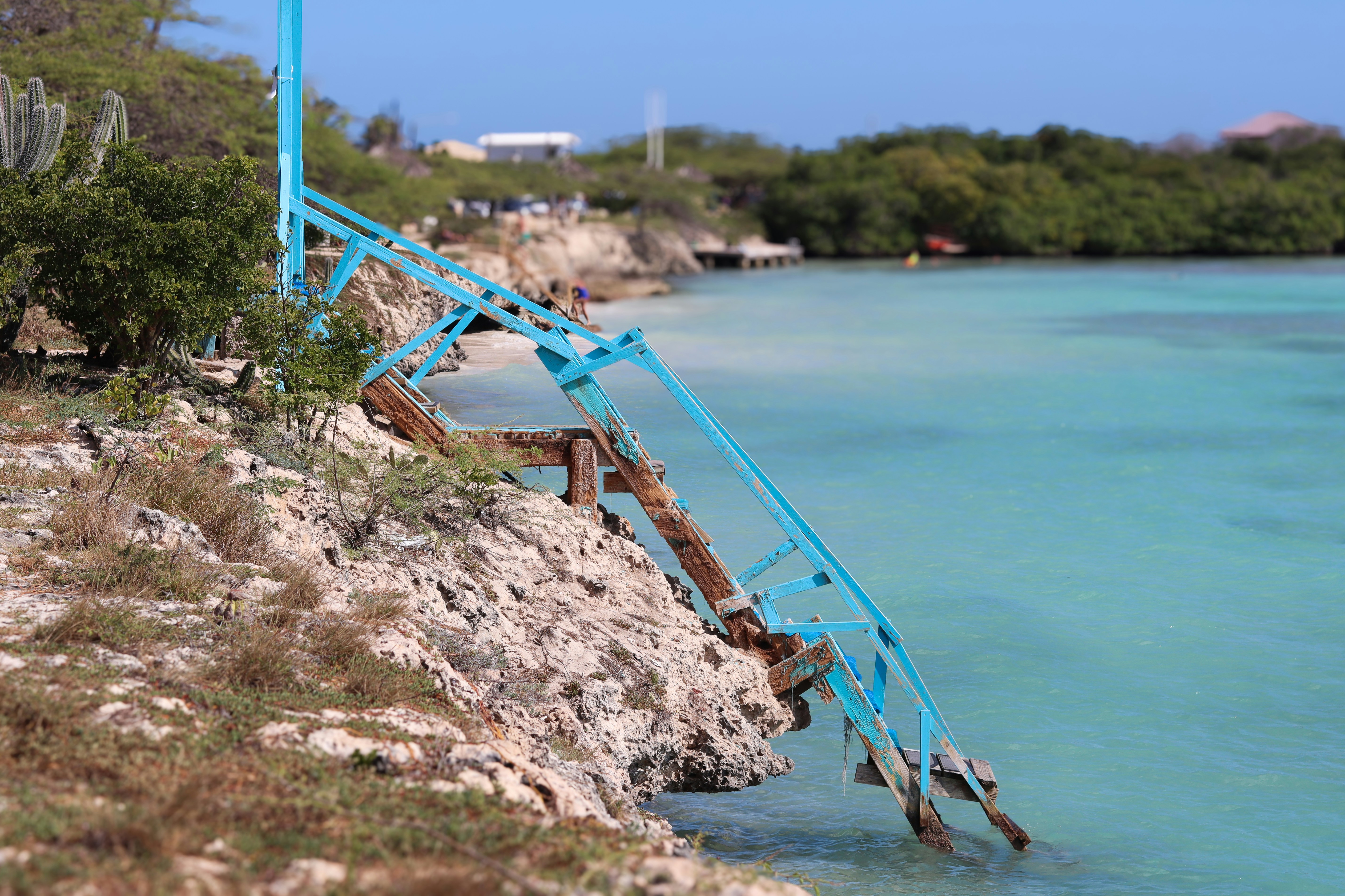 a blue metal structure sticking out of the water, View of Mangel Halto beach with a blue staircase leading into the Aruban ocean.