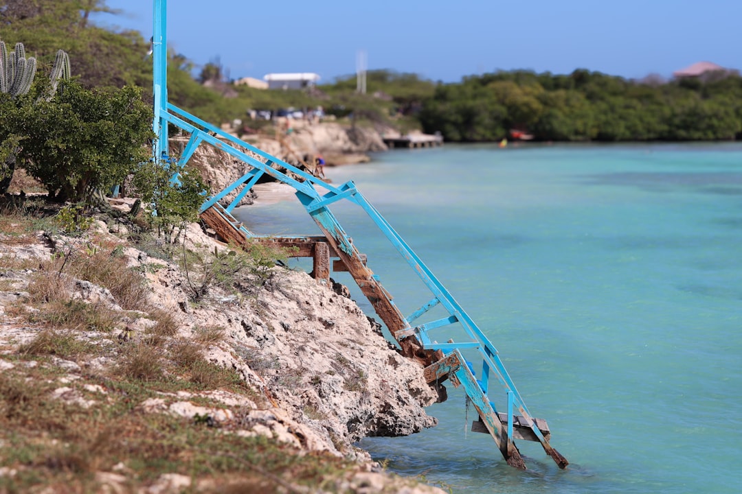a blue metal structure sticking out of the water, View of Mangel Halto beach with a blue staircase leading into the Arub