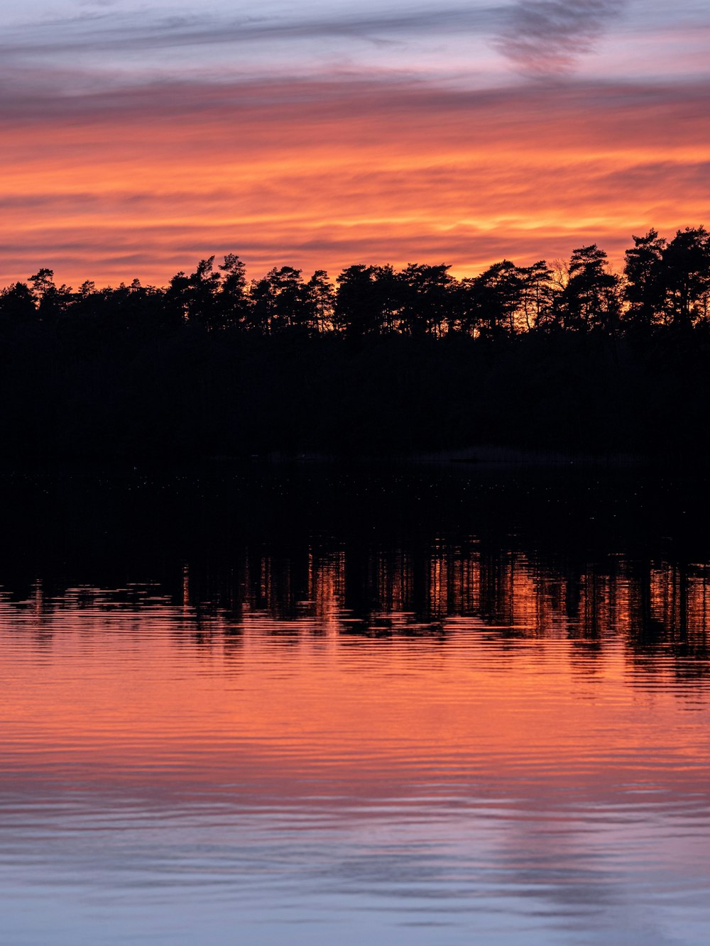a sunset over a lake with trees in the background