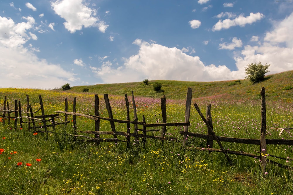 a wooden fence in a field with wildflowers