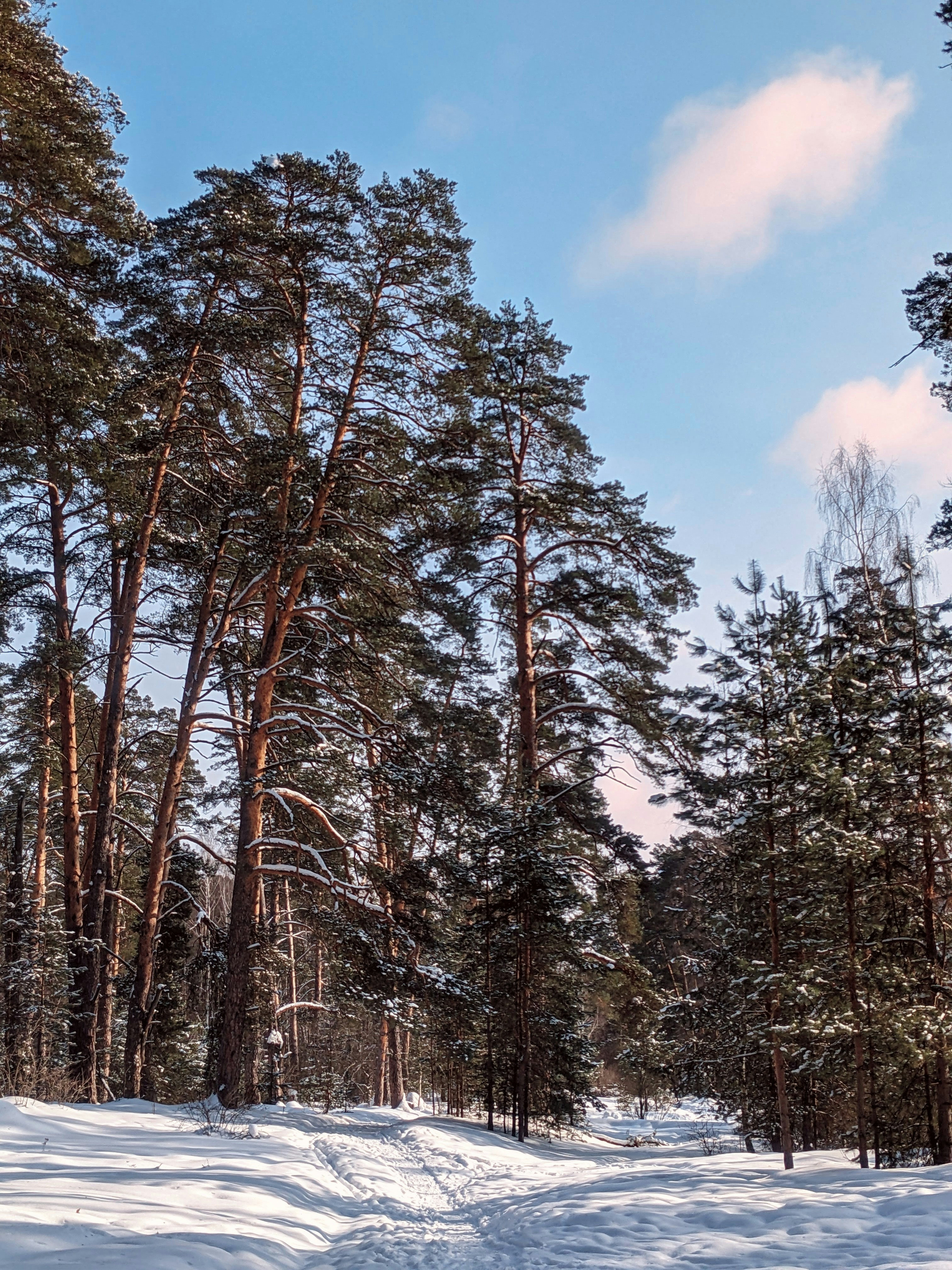 Photo by eliyachusin