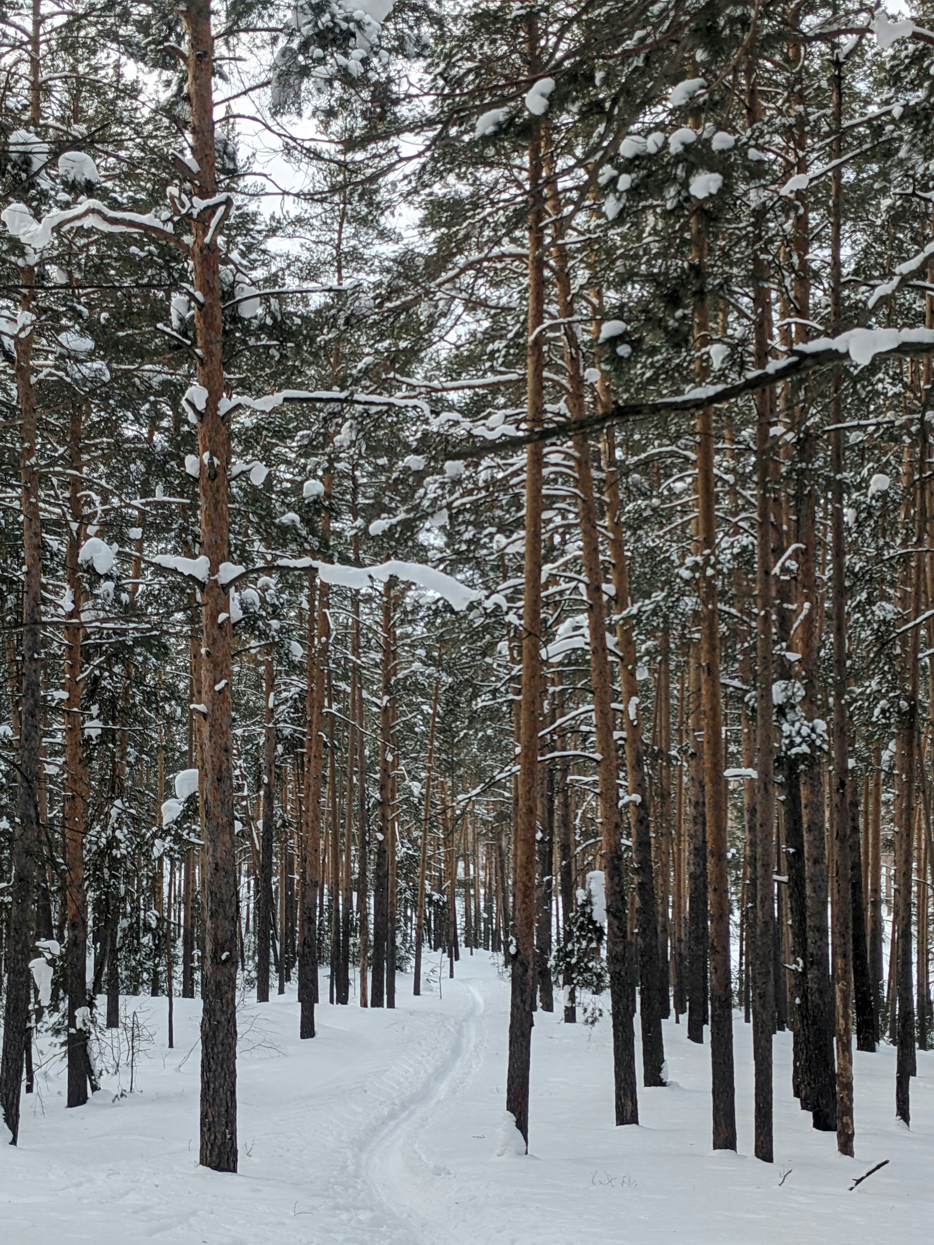 Photo by eliyachusin