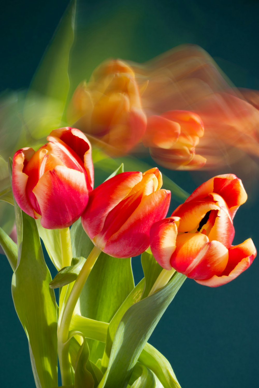 a vase filled with red and orange flowers