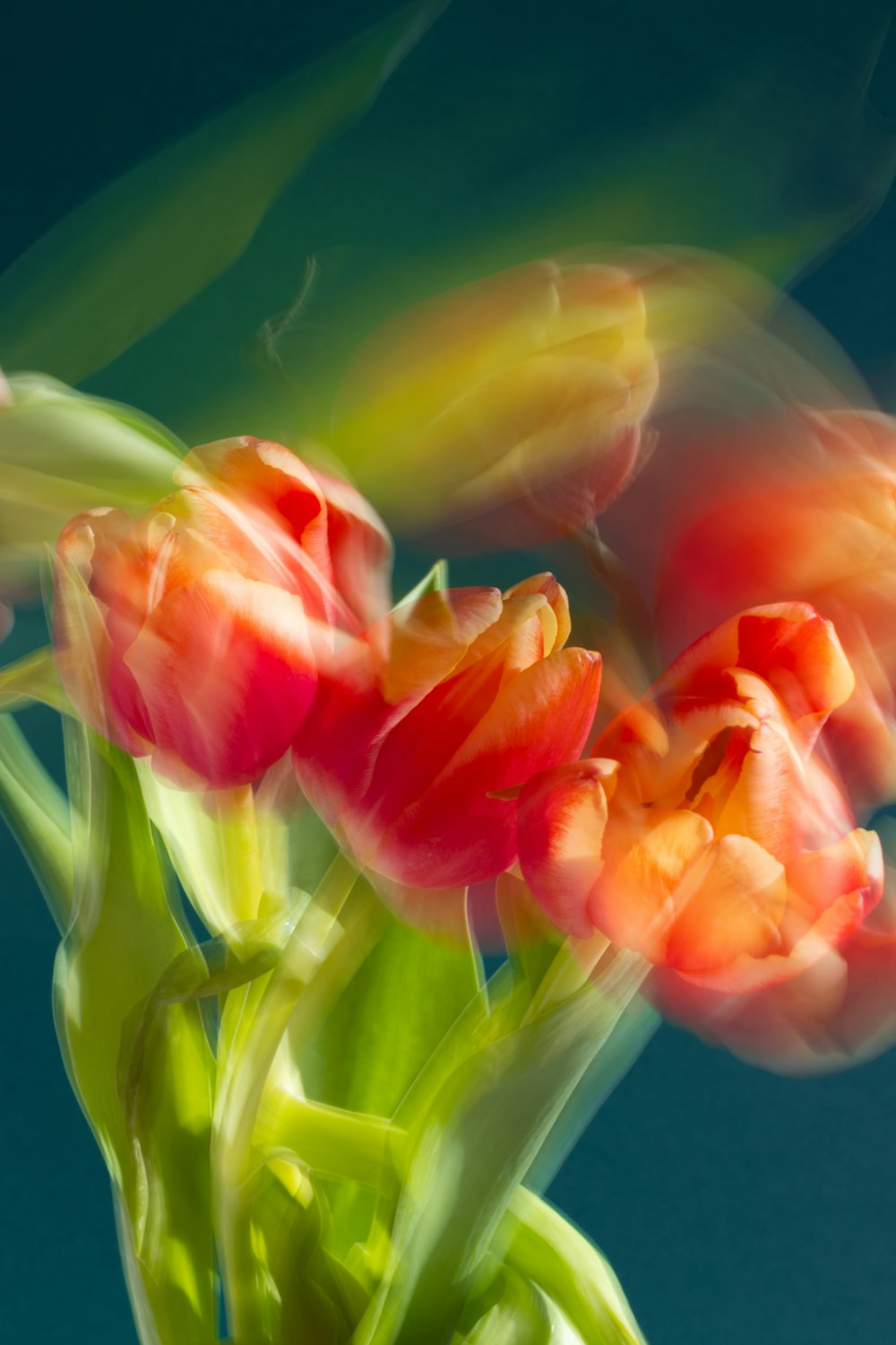 a close up of a vase with flowers in it