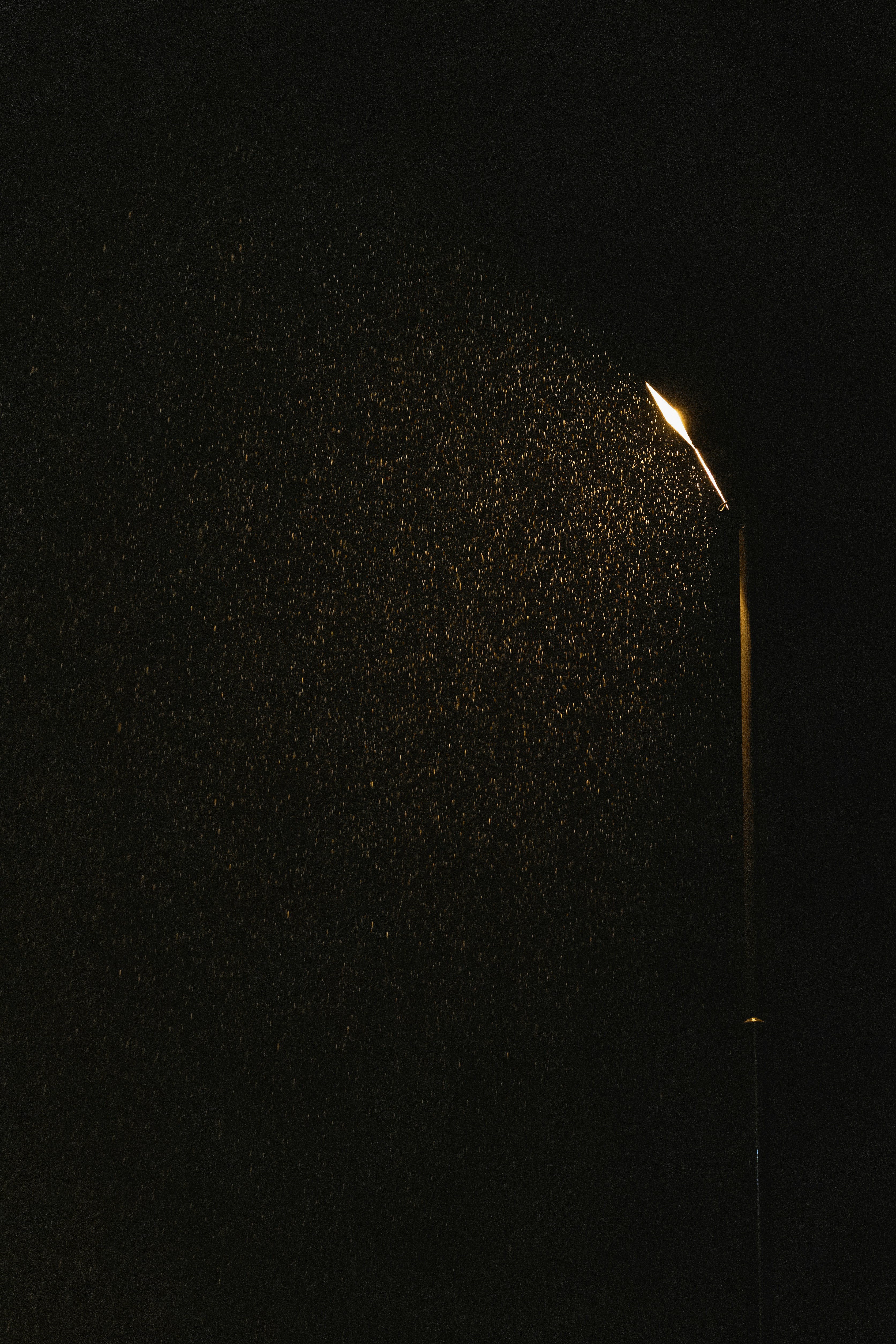A street light that is lit up in the dark photo – Free Black Image on ...