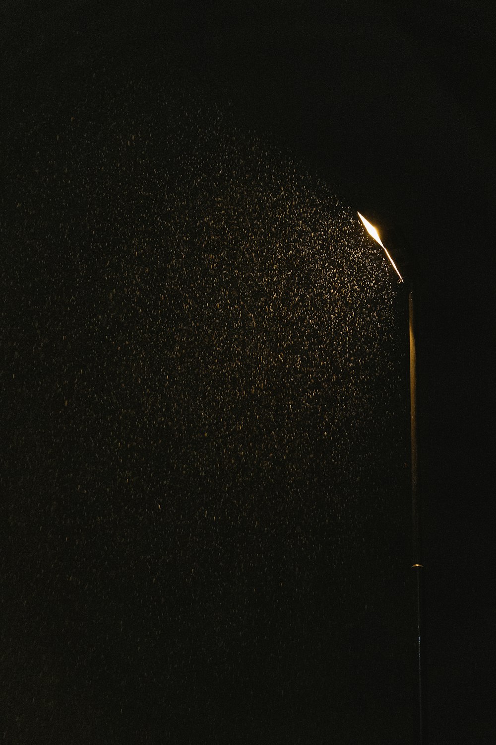 a street light that is lit up in the dark