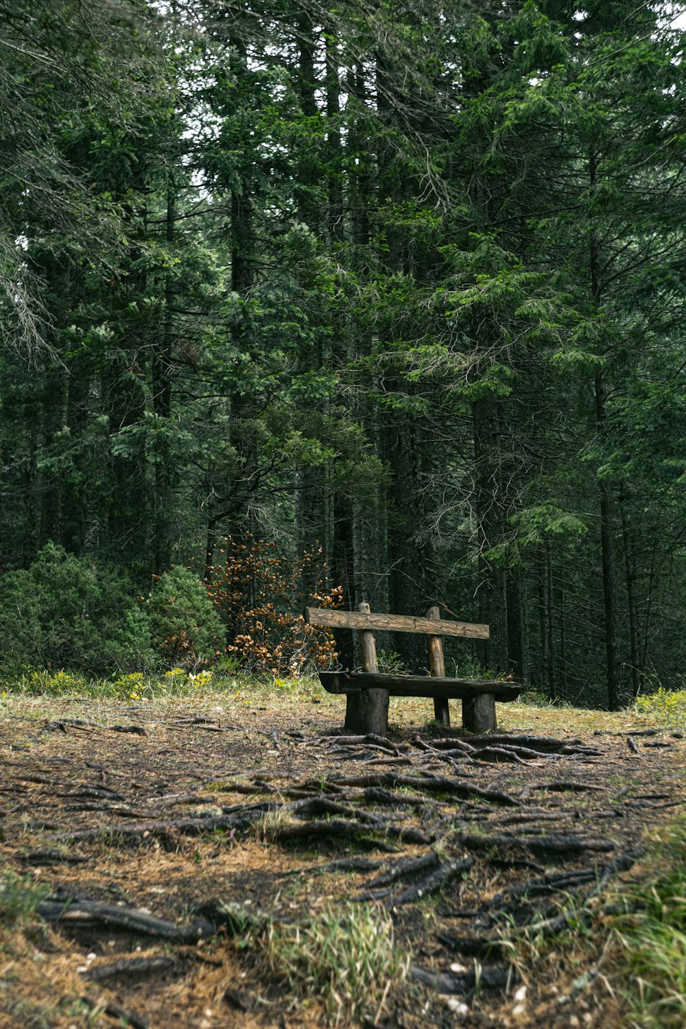 a wooden bench sitting in the middle of a forest