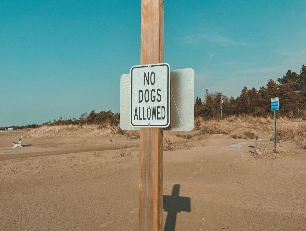 a no dogs allowed sign on a wooden pole
