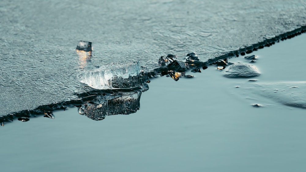 a group of ice cubes floating on top of a body of water