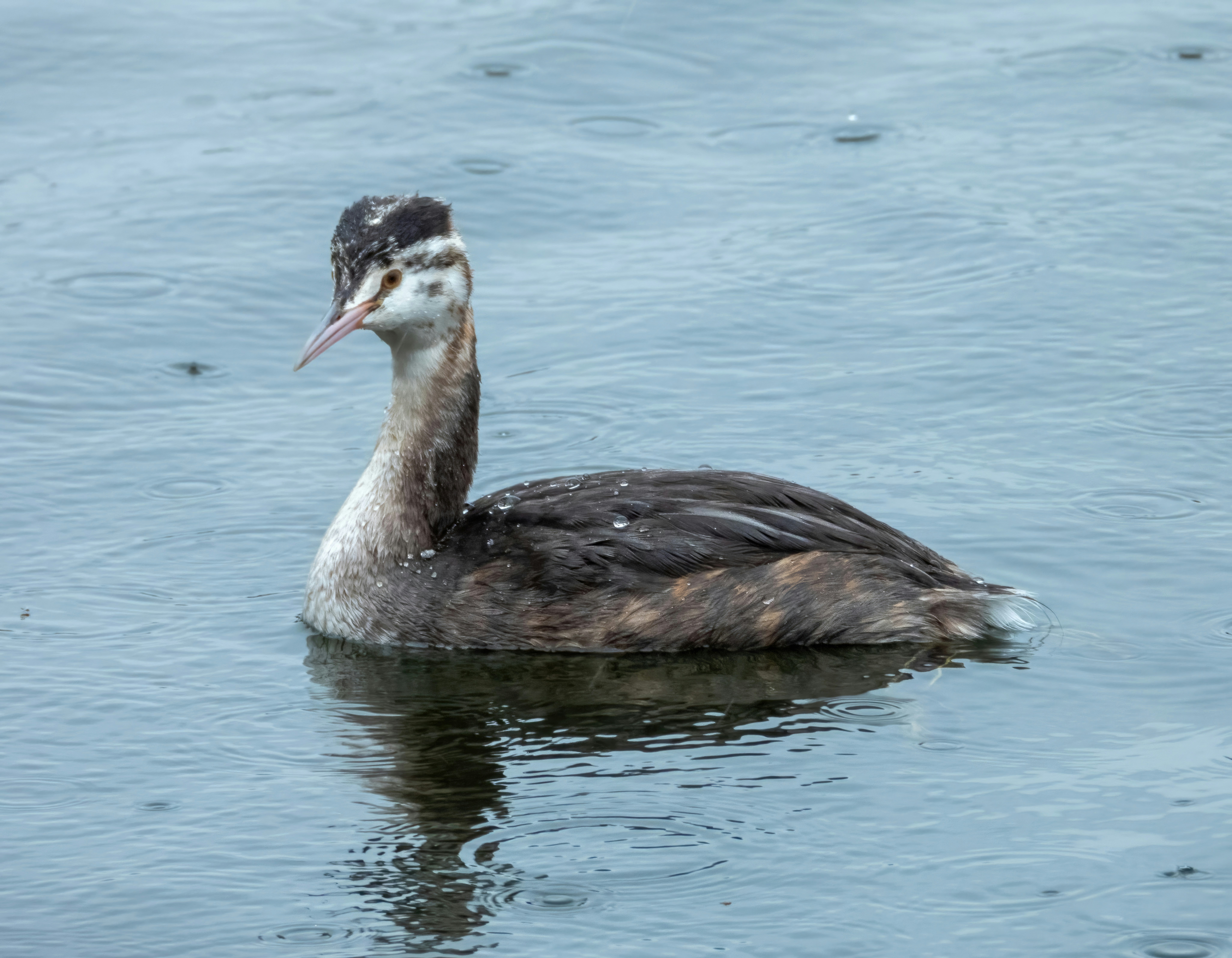 Photo by hampshireprints