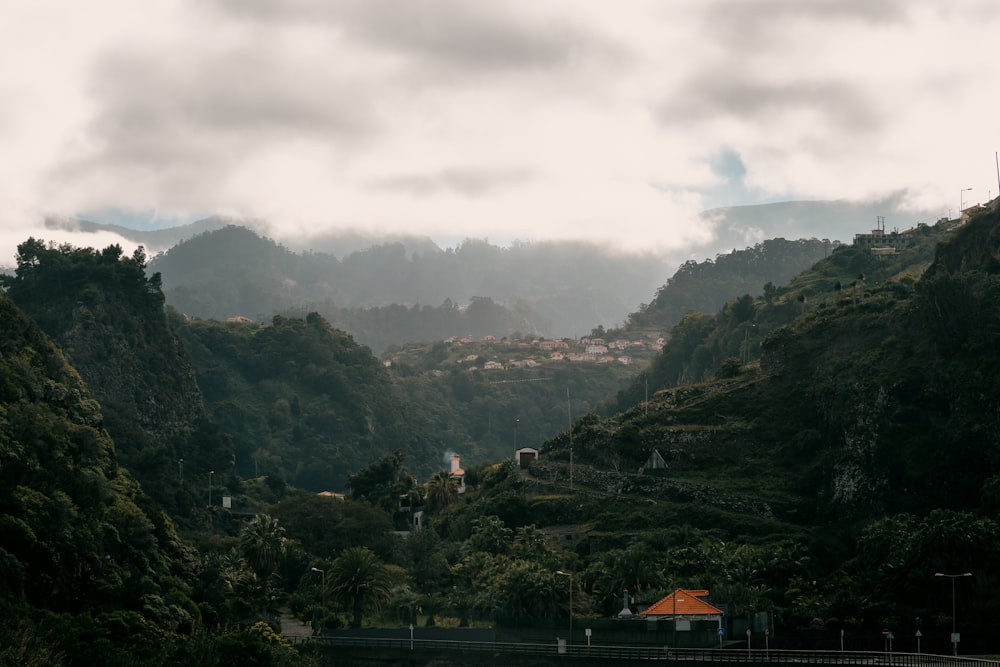 a scenic view of a lush green valley